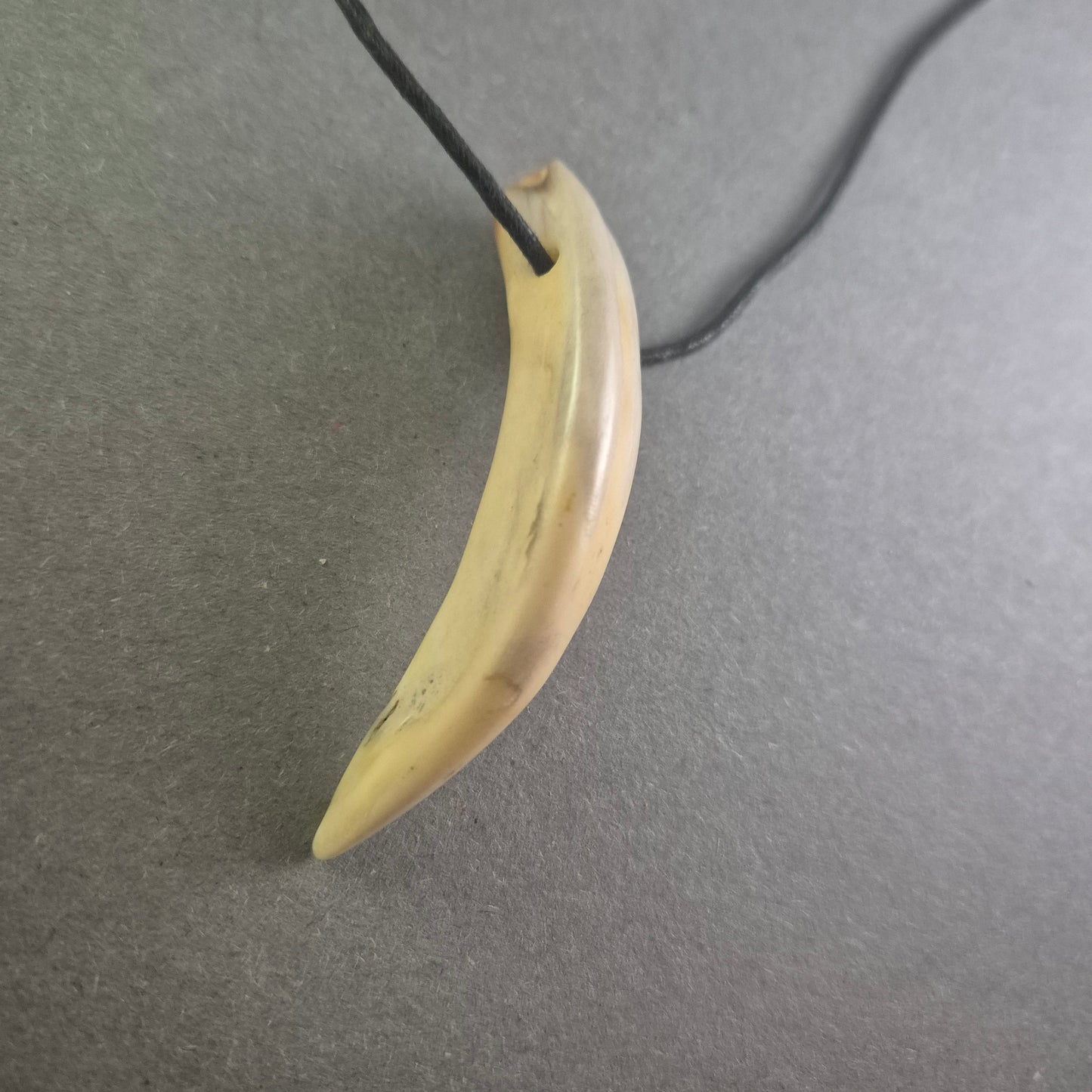 Halskette mit Zahnanhänger Naturinspirierter Look für Individualisten