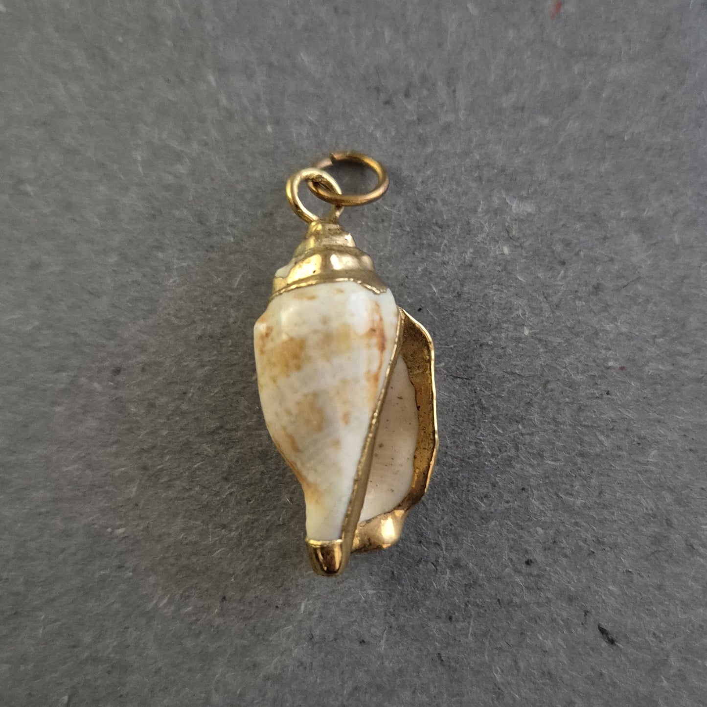 Vintage Anhänger mit echter Muschel – Maritimer Charme im goldenen Rahmen
