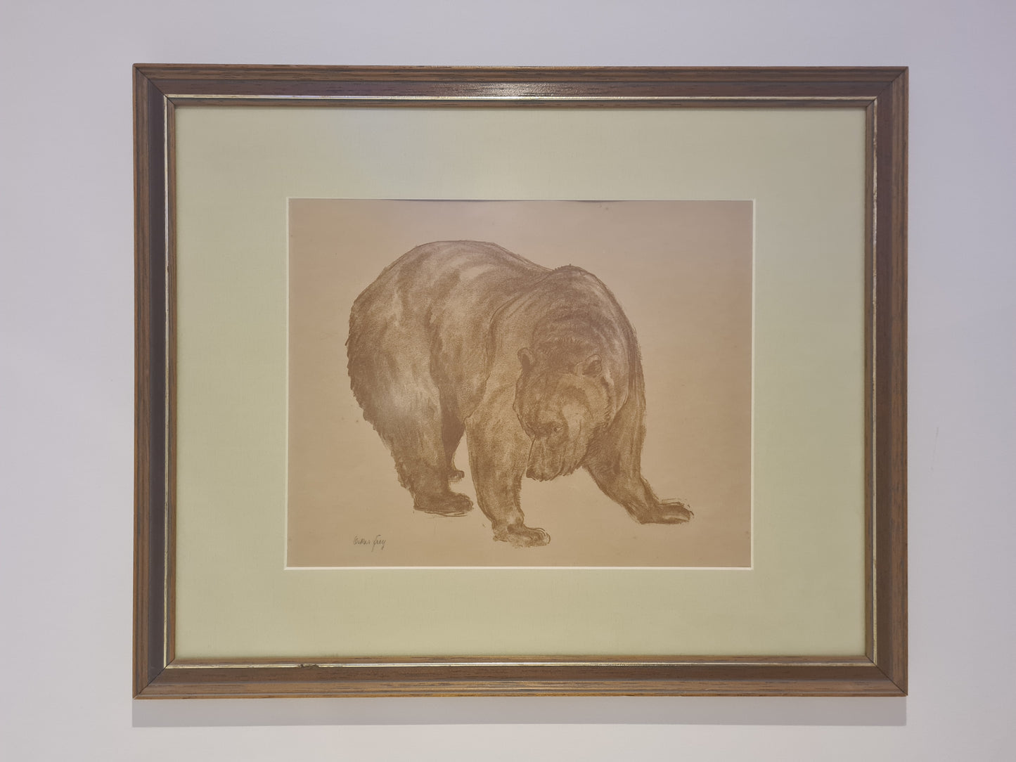 Oskar Frey signiert Zeichnung "Bär" Tiermalerei Gemälde 54x45cm