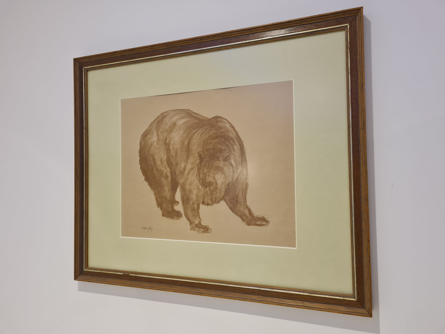 Oskar Frey signiert Zeichnung "Bär" Tiermalerei Gemälde 54x45cm