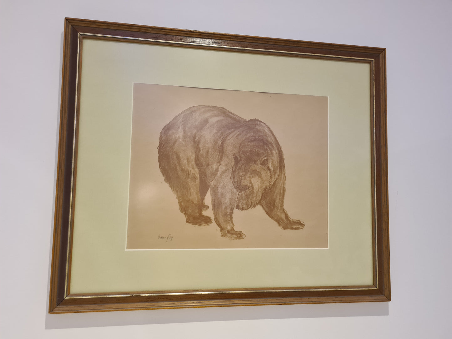 Oskar Frey signiert Zeichnung "Bär" Tiermalerei Gemälde 54x45cm