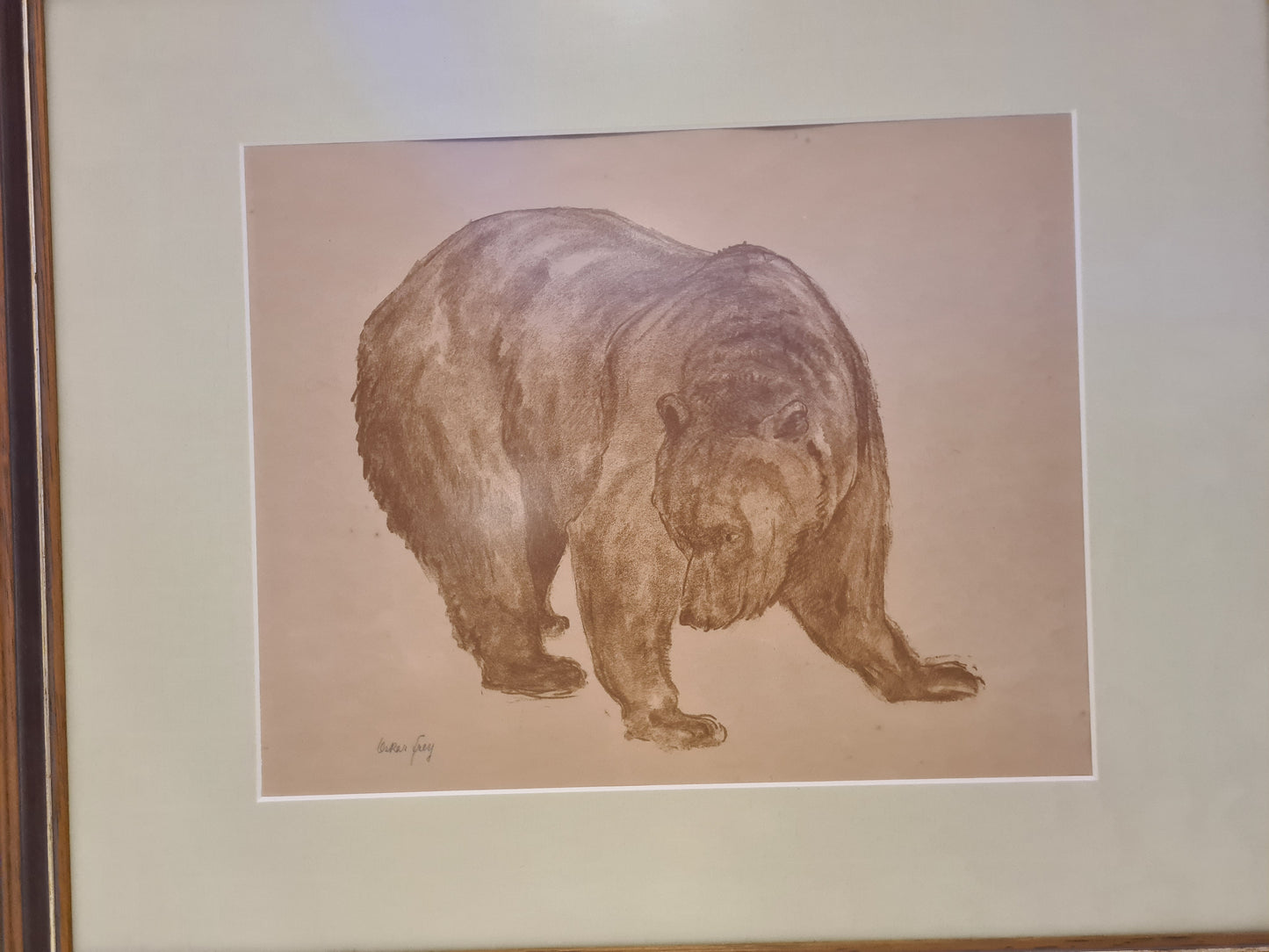 Oskar Frey signiert Zeichnung "Bär" Tiermalerei Gemälde 54x45cm