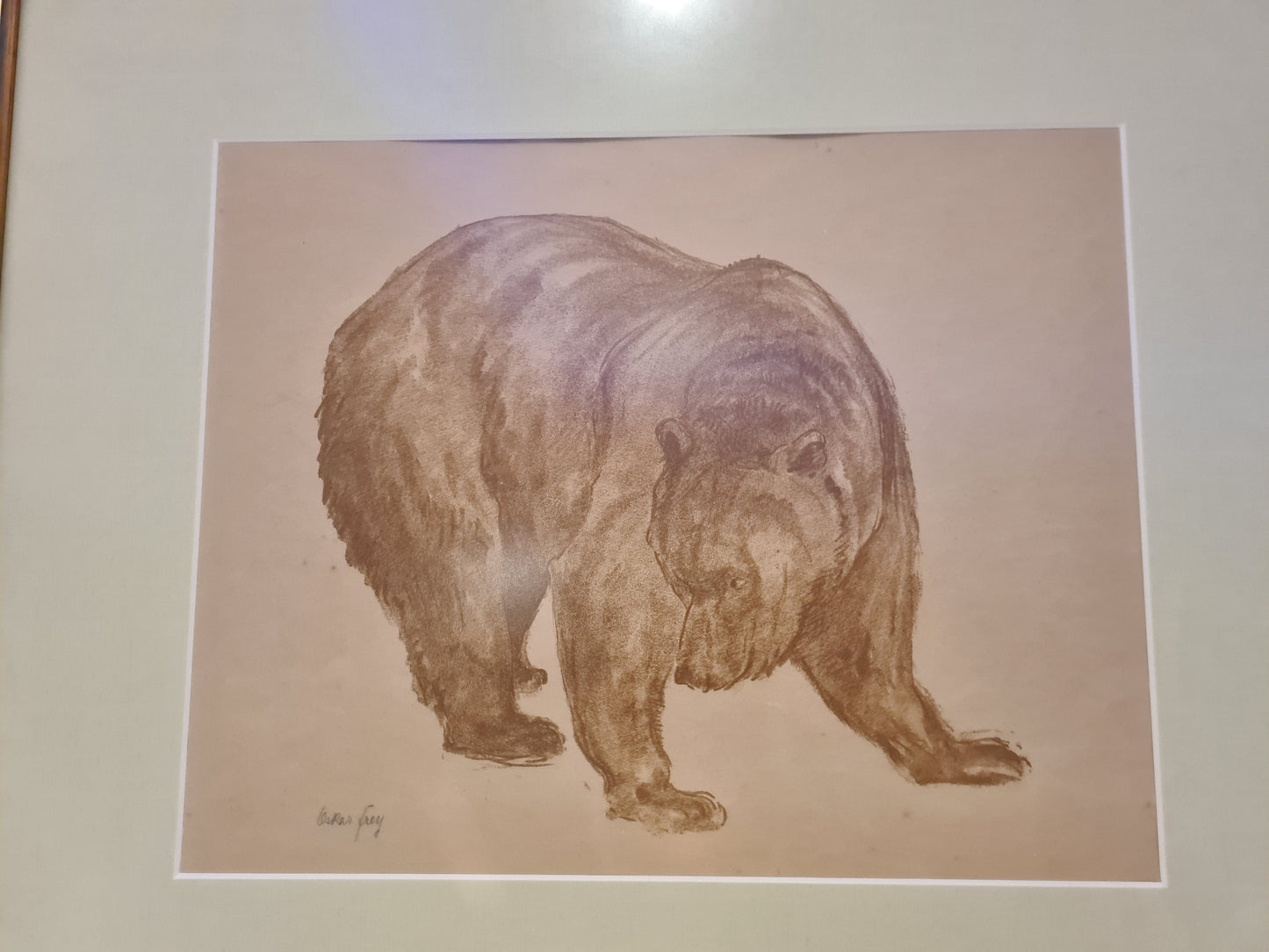 Oskar Frey signiert Zeichnung "Bär" Tiermalerei Gemälde 54x45cm