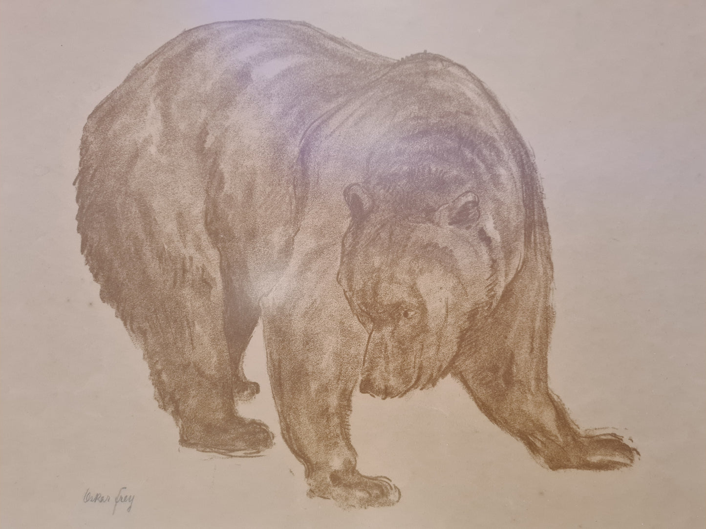 Oskar Frey signiert Zeichnung "Bär" Tiermalerei Gemälde 54x45cm