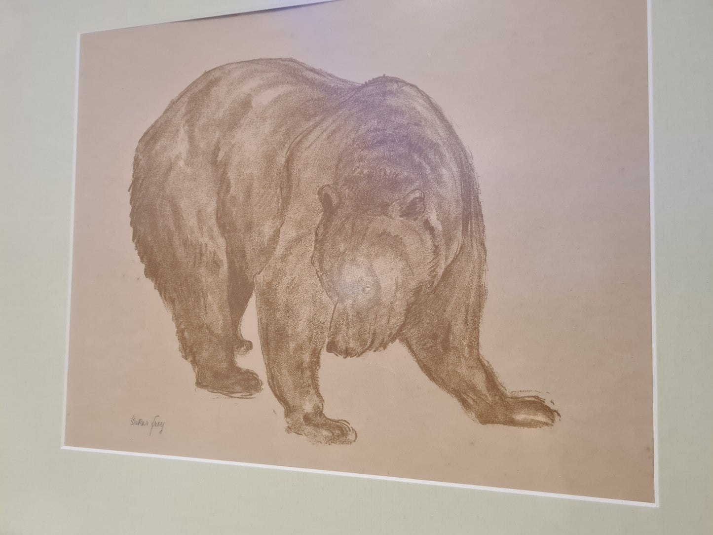 Oskar Frey signiert Zeichnung "Bär" Tiermalerei Gemälde 54x45cm