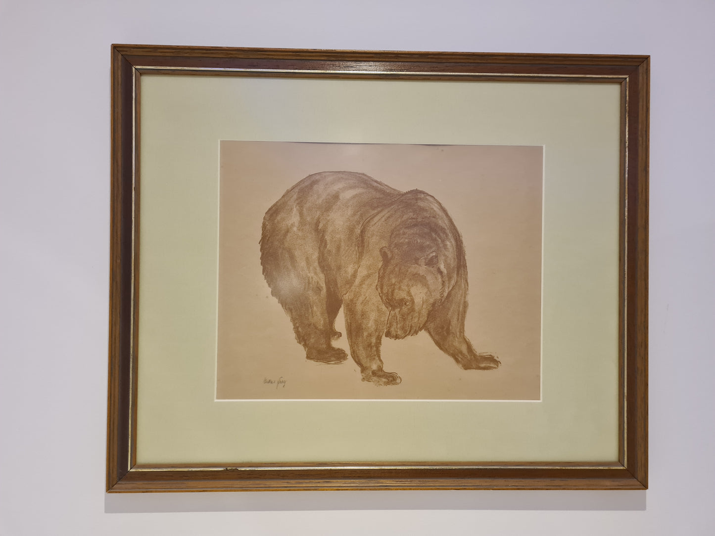 Oskar Frey signiert Zeichnung "Bär" Tiermalerei Gemälde 54x45cm