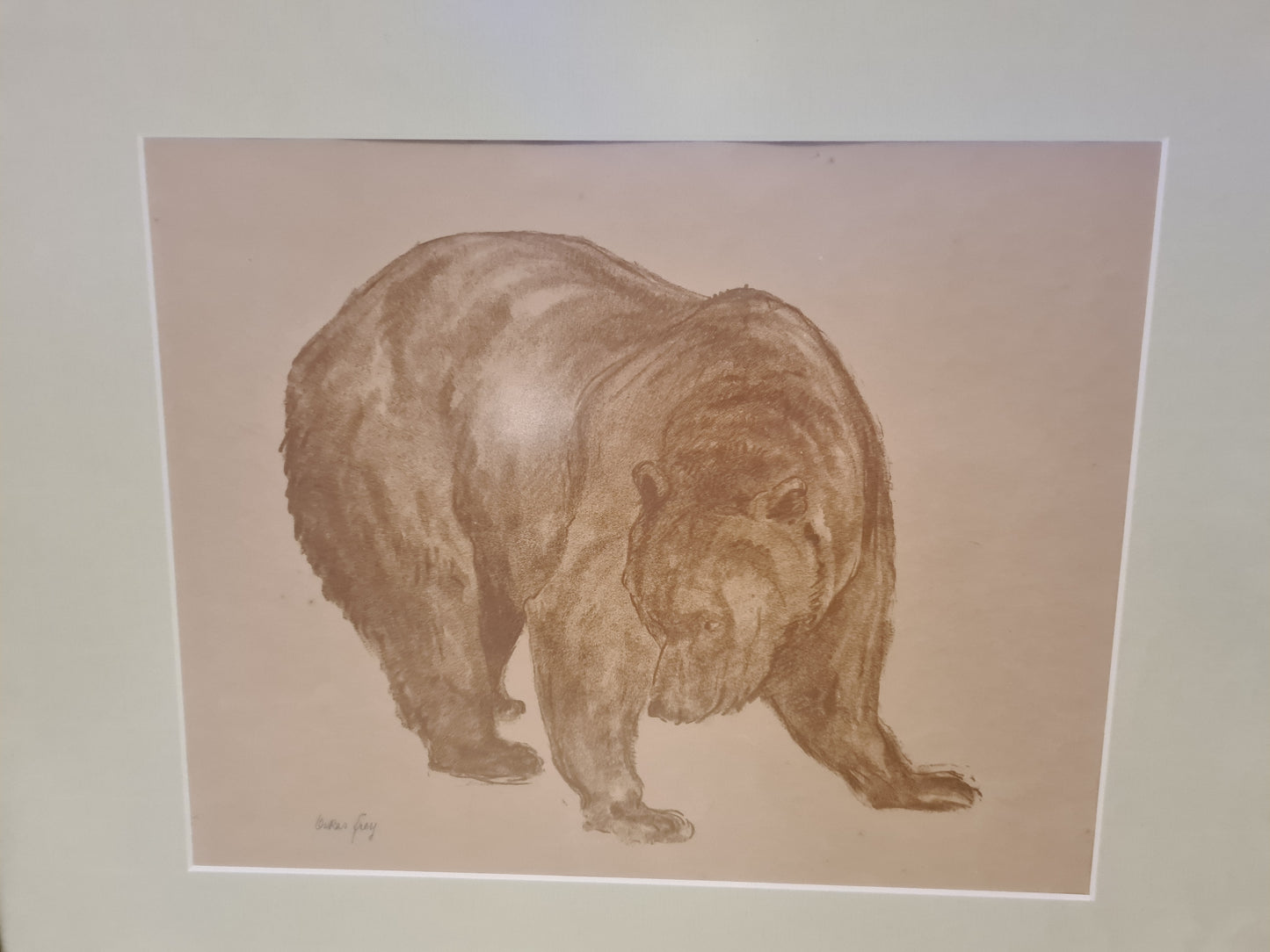 Oskar Frey signiert Zeichnung "Bär" Tiermalerei Gemälde 54x45cm