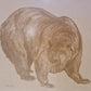 Oskar Frey signiert Zeichnung "Bär" Tiermalerei Gemälde 54x45cm