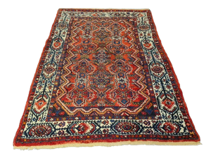 Descriptive image text