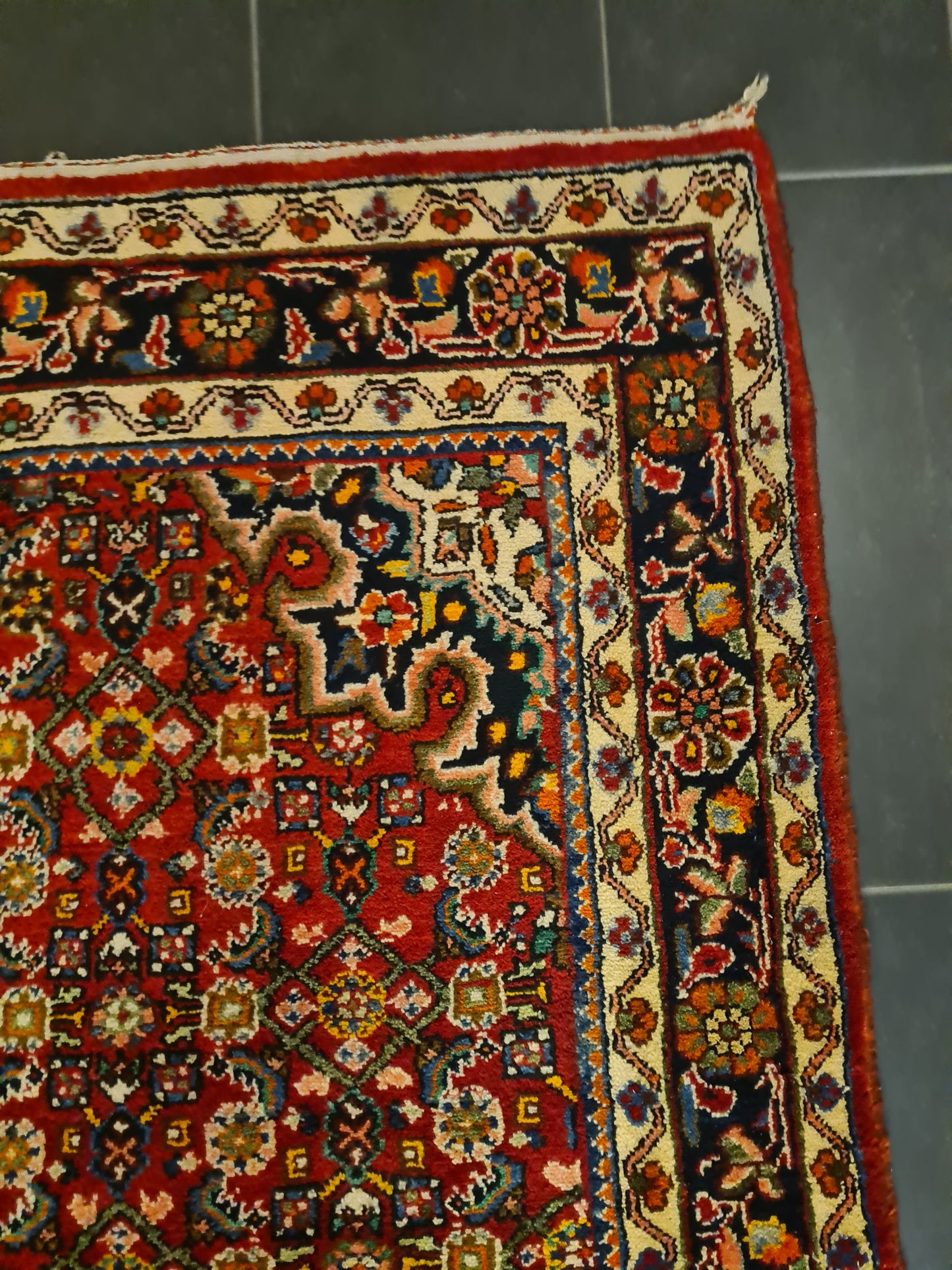 Perserteppich Orientteppich Handgeknüpfter Teppich Bidjar 220x154cm