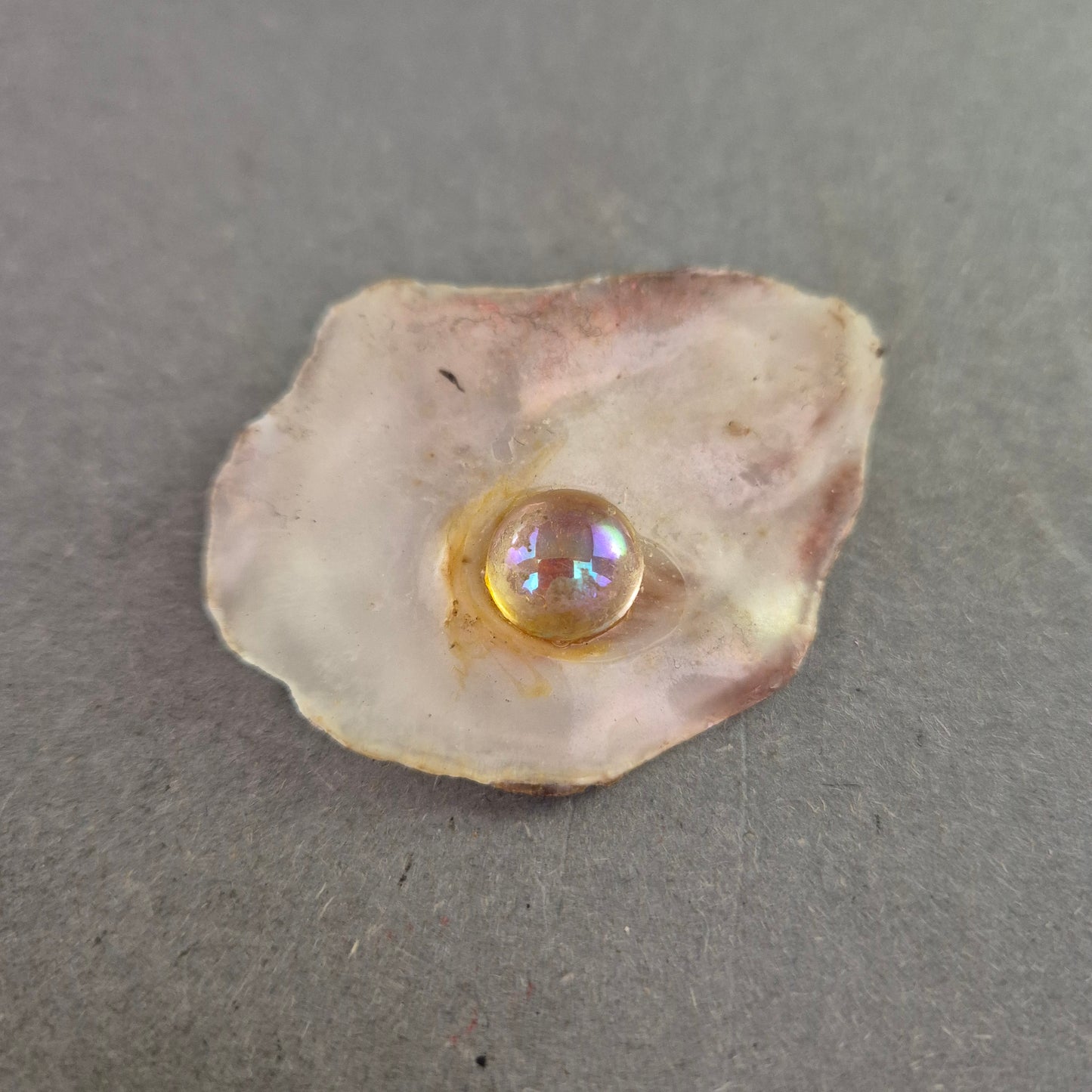 Vintage Muschel-Brosche mit irisierendem Glaselement – Maritimer Charme