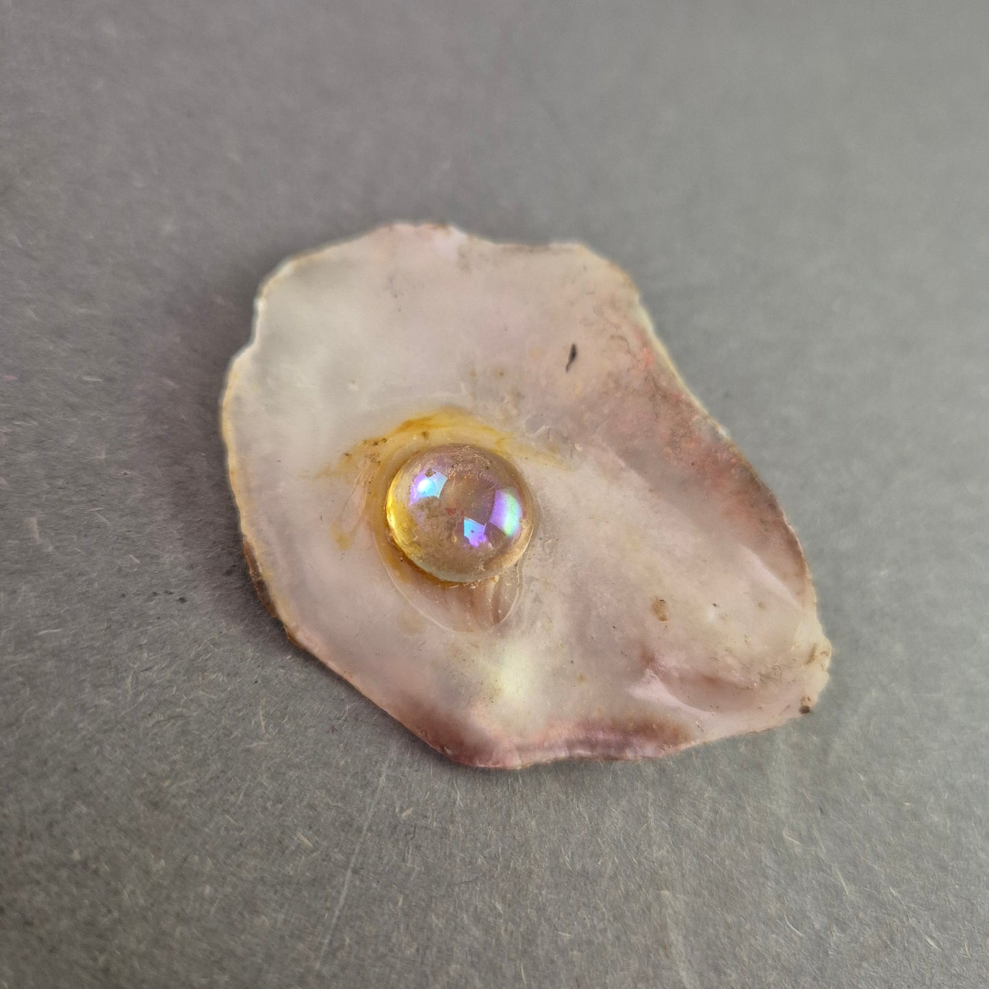 Vintage Muschel-Brosche mit irisierendem Glaselement – Maritimer Charme