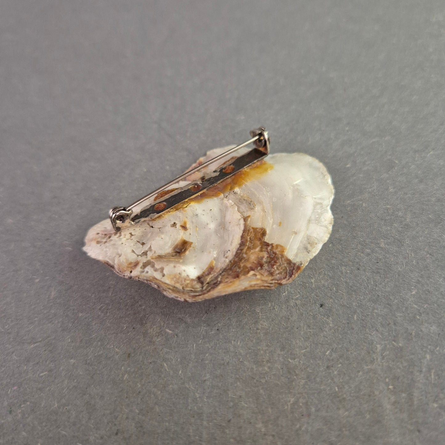 Vintage Muschel-Brosche mit irisierendem Glaselement – Maritimer Charme