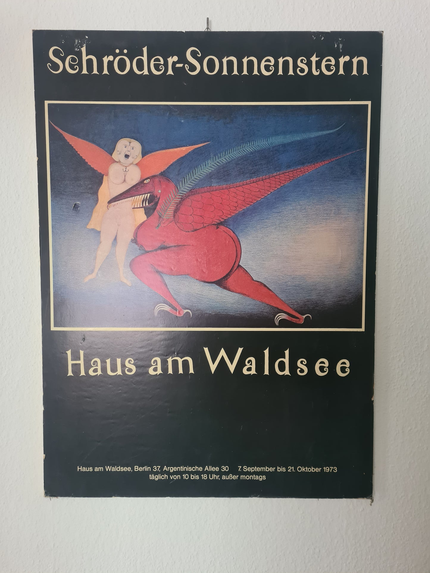 Kunstplakat „Schröder-Sonnenstern – Haus am Waldsee“ 81x60cm