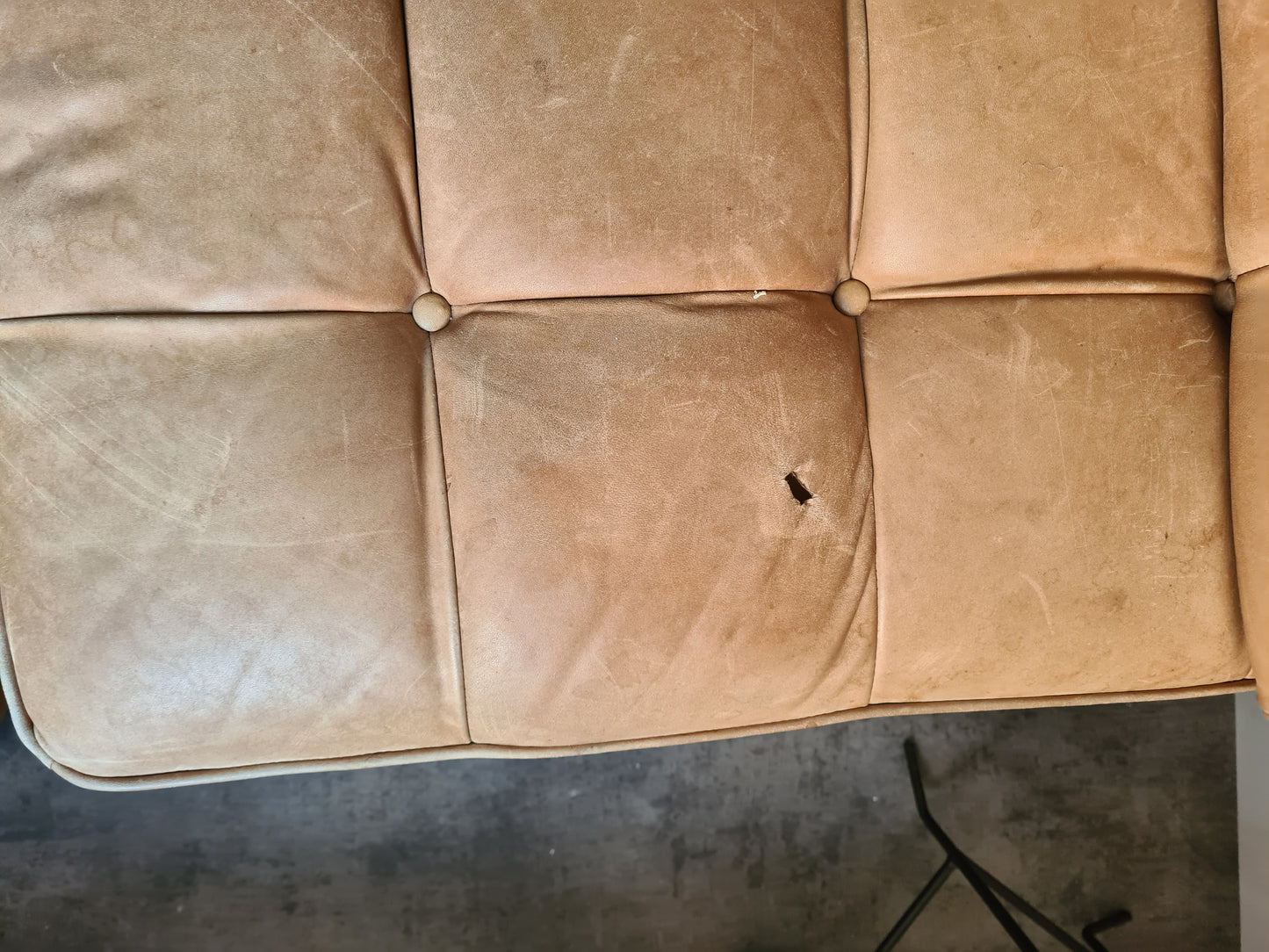 JOHANNES SPALT Wittmann Daybed Sofa Leder Mid Century 200x105cm