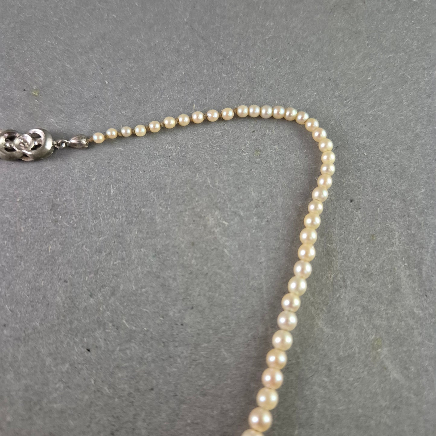 Klassische Perlenkette mit Silberverschluss – Eleganz in ihrer reinsten Form