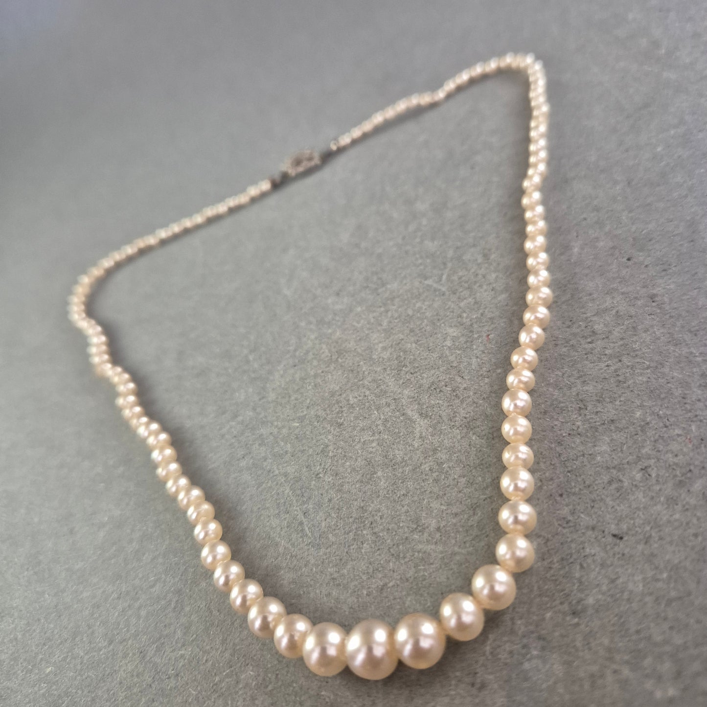 Feine Perlenkette mit Silberverschluss – Klassische Eleganz in Creme