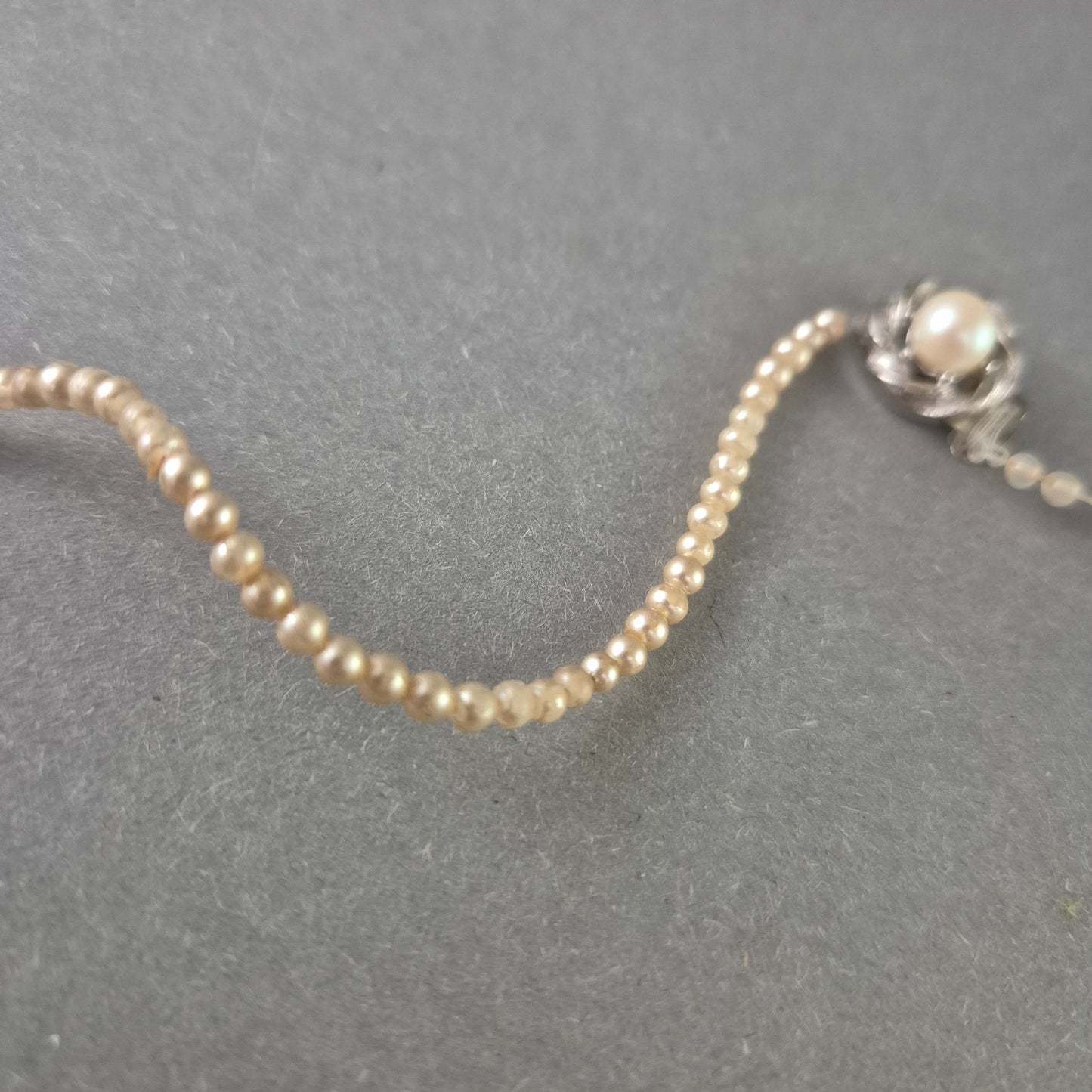 Elegante Damen Halskette mit weißen Perlen – Klassisch & zeitlos