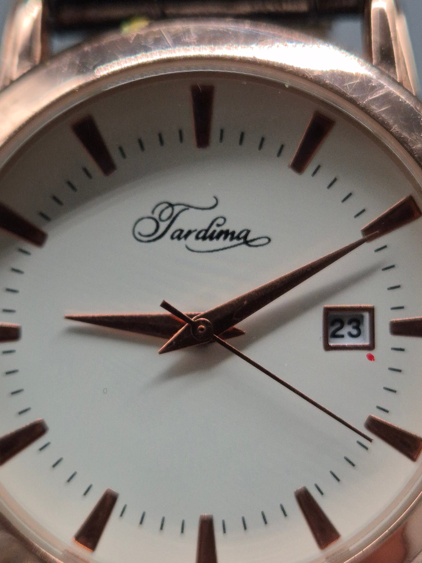 Tardima Herren Uhr – Roségoldenes Gehäuse mit Echtlederarmband