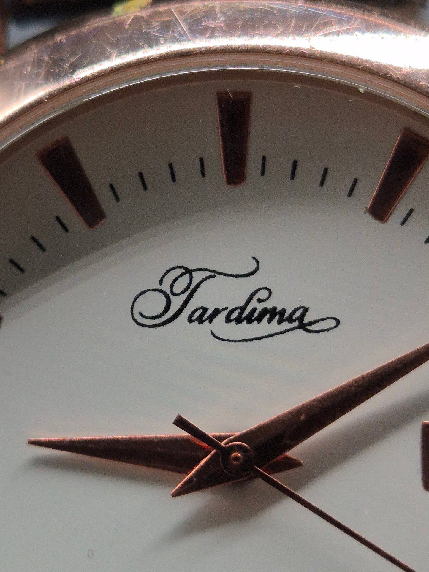 Tardima Herren Uhr – Roségoldenes Gehäuse mit Echtlederarmband