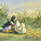 Ölgemälde Handsigniert Enten Hohes Gras Landschaft A. Müller (XX) 15x21cm