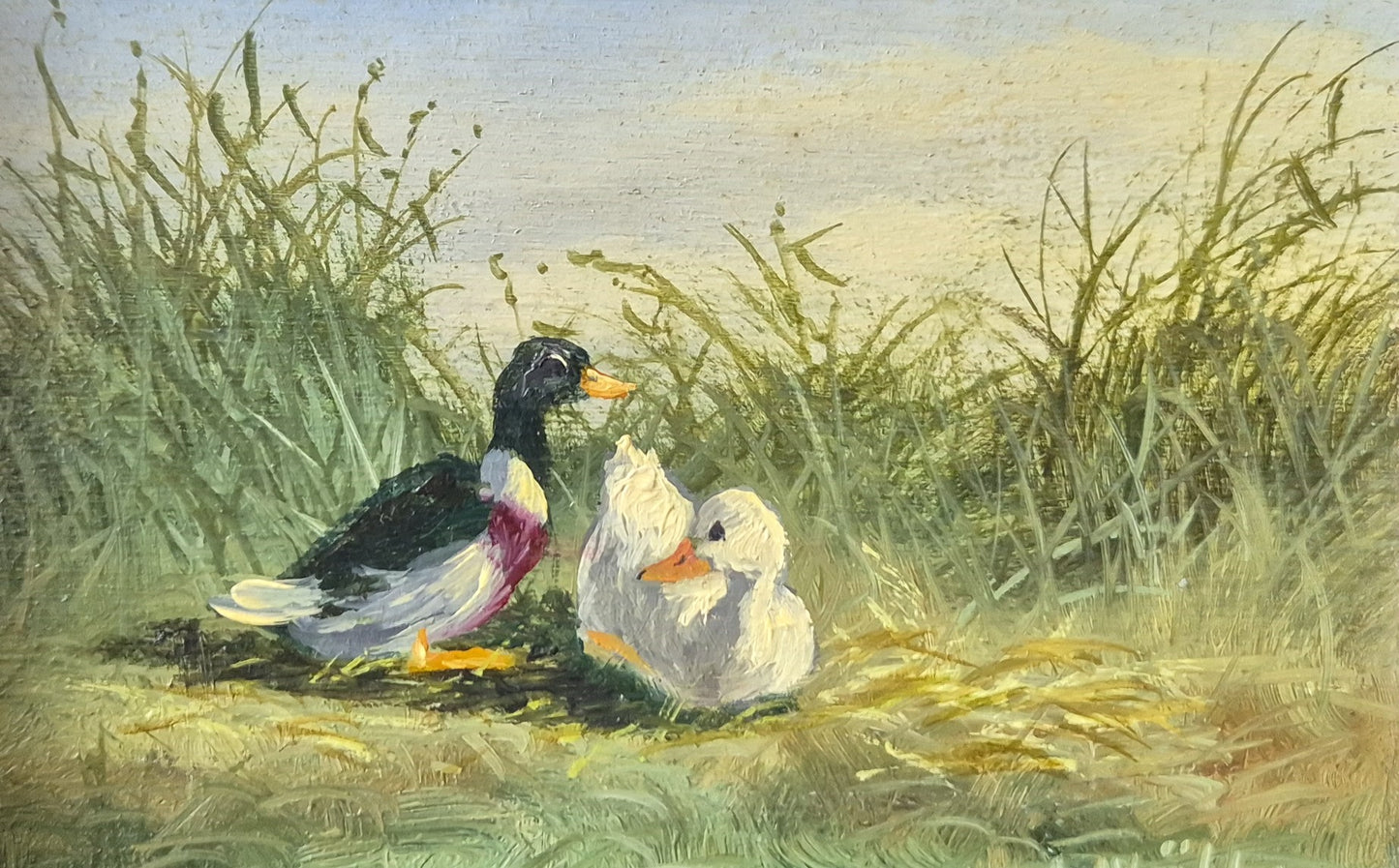 Ölgemälde Handsigniert Enten Hohes Gras Landschaft A. Müller (XX) 15x21cm