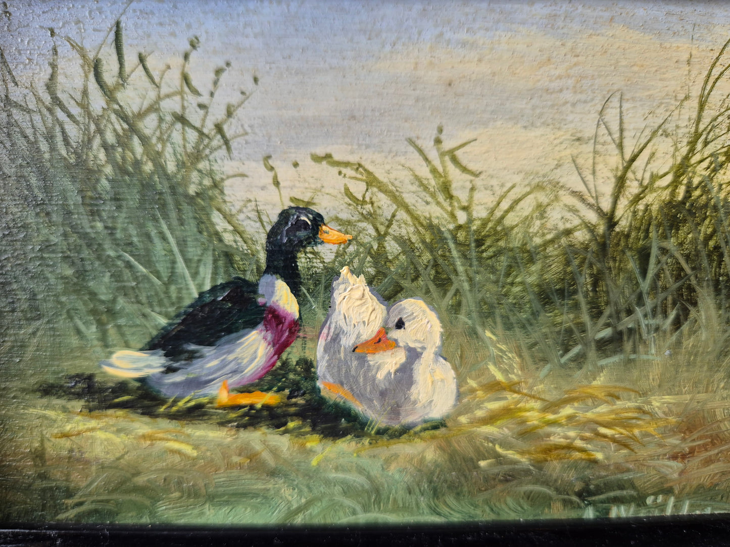 Ölgemälde Handsigniert Enten Hohes Gras Landschaft A. Müller (XX) 15x21cm