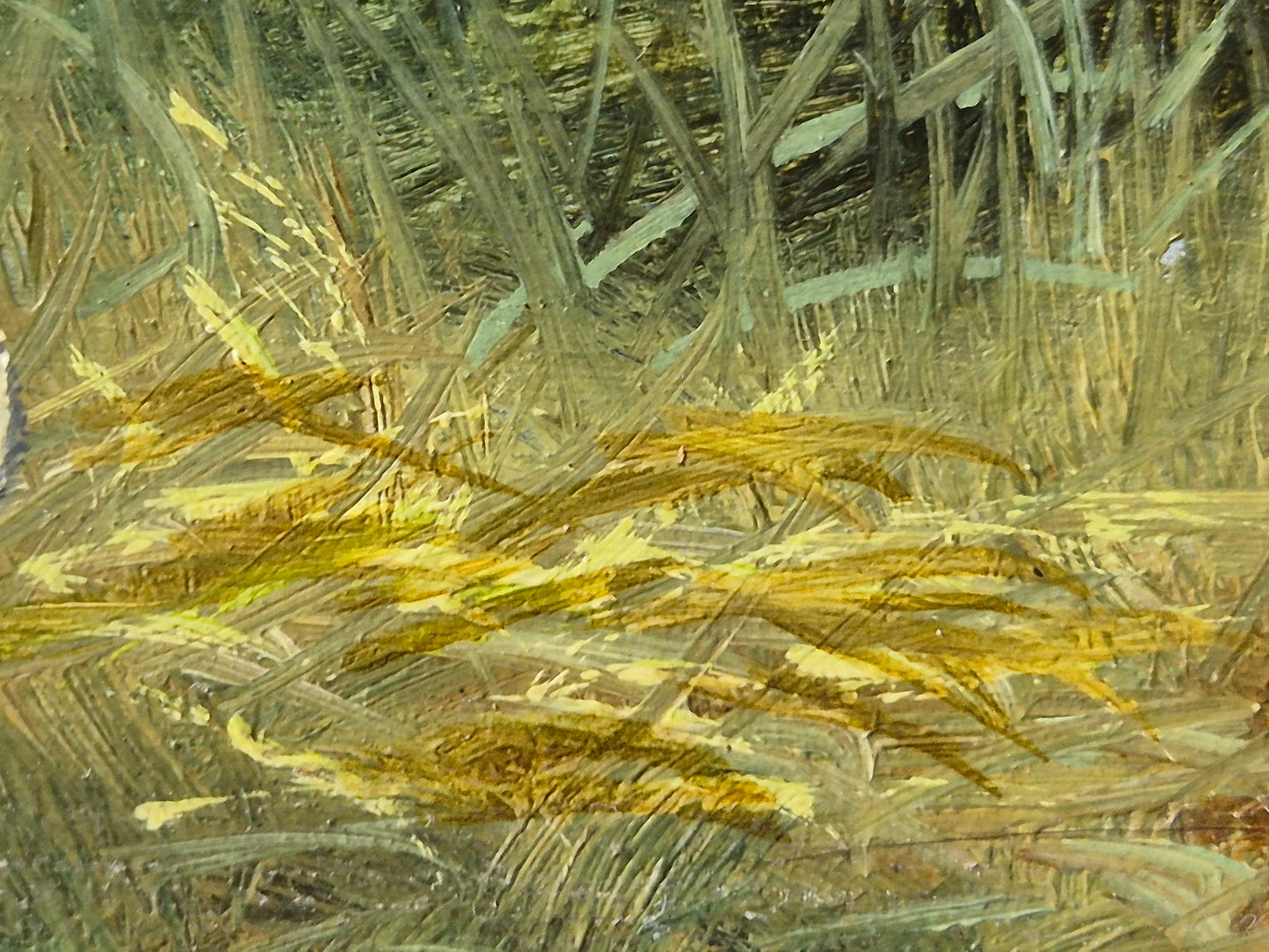 Ölgemälde Handsigniert Enten Hohes Gras Landschaft A. Müller (XX) 15x21cm