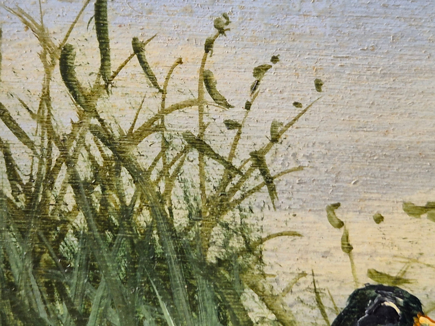 Ölgemälde Handsigniert Enten Hohes Gras Landschaft A. Müller (XX) 15x21cm