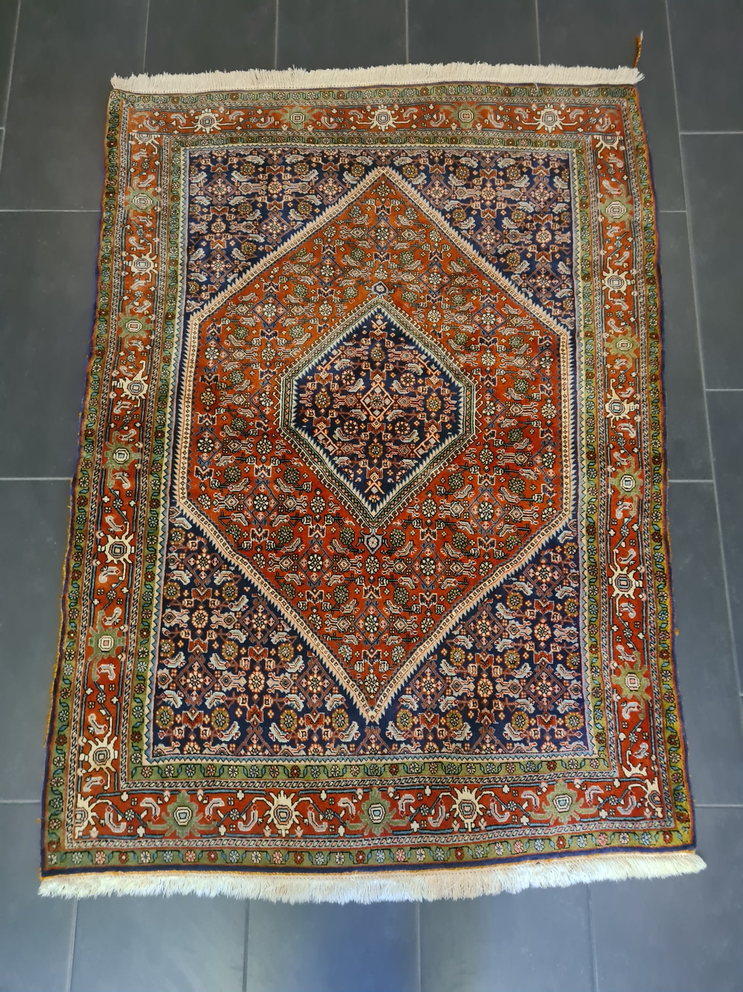 Perserteppich Orientteppich Handgeknüpfter Bidjar Teppich 170×120cm