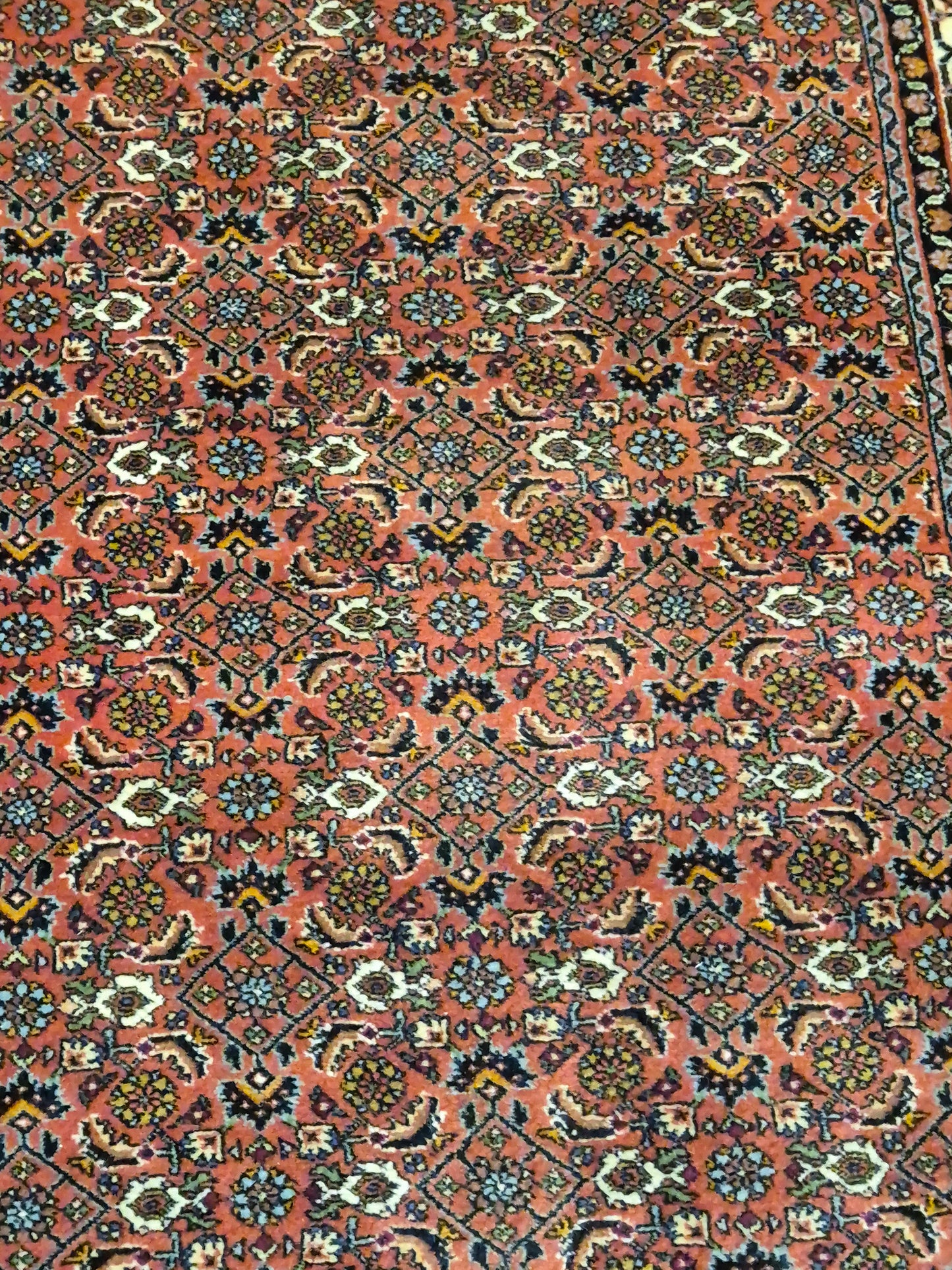 Bidjar Läufer – feines Herati-Muster auf rotem Fond