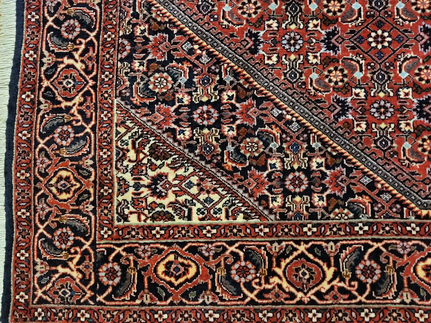 Bidjar Perser Teppich  Korkwolle, klassisches Medaillon-Design, fein geknüpft