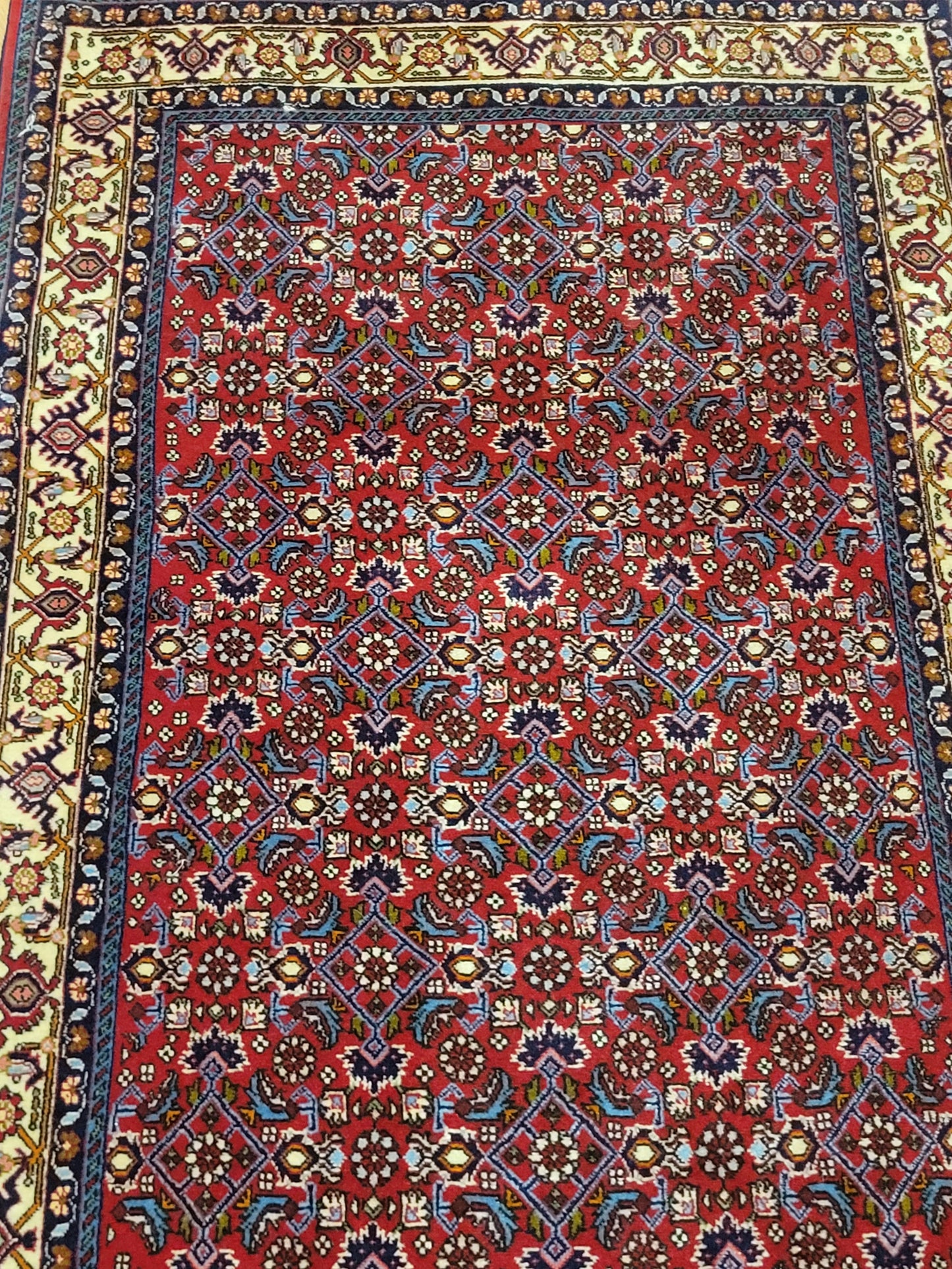 Bidjar Perserteppich Korkwolle, florales Allover-Muster