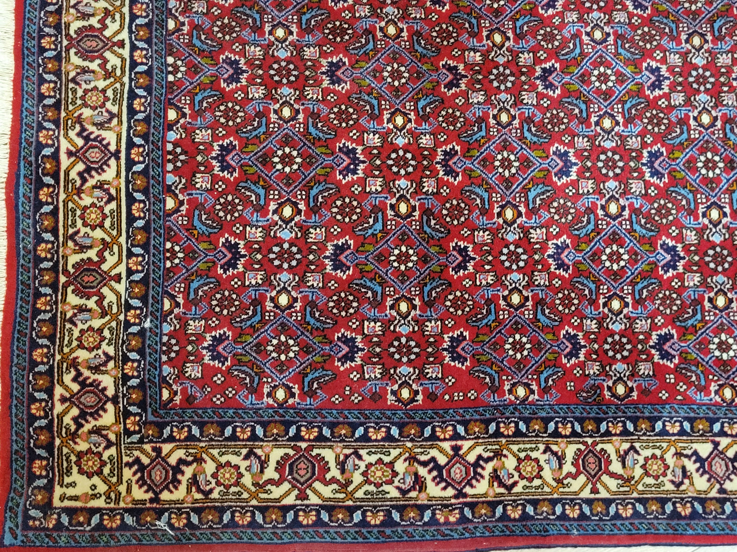 Bidjar Perserteppich Korkwolle, florales Allover-Muster