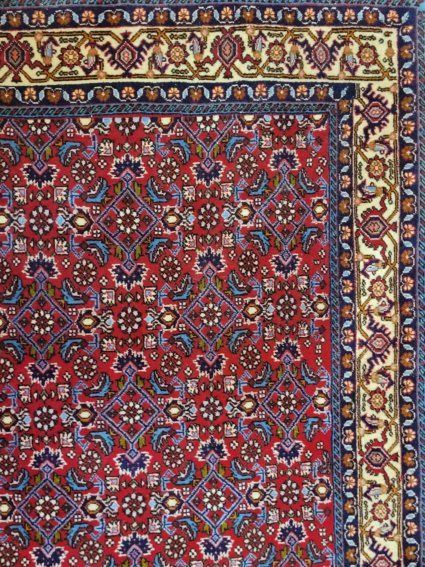 Bidjar Perserteppich Korkwolle, florales Allover-Muster