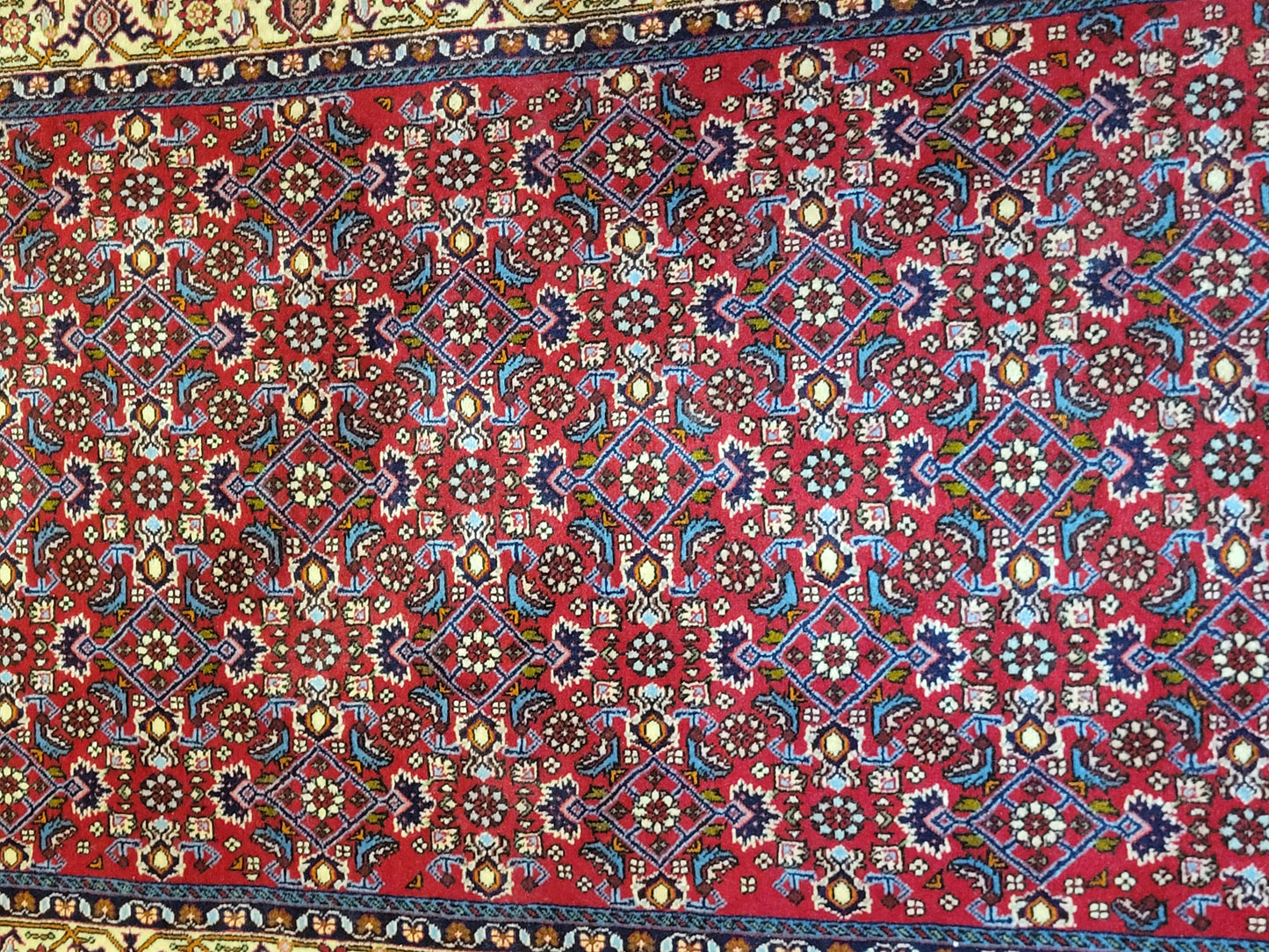 Bidjar Perserteppich Korkwolle, florales Allover-Muster