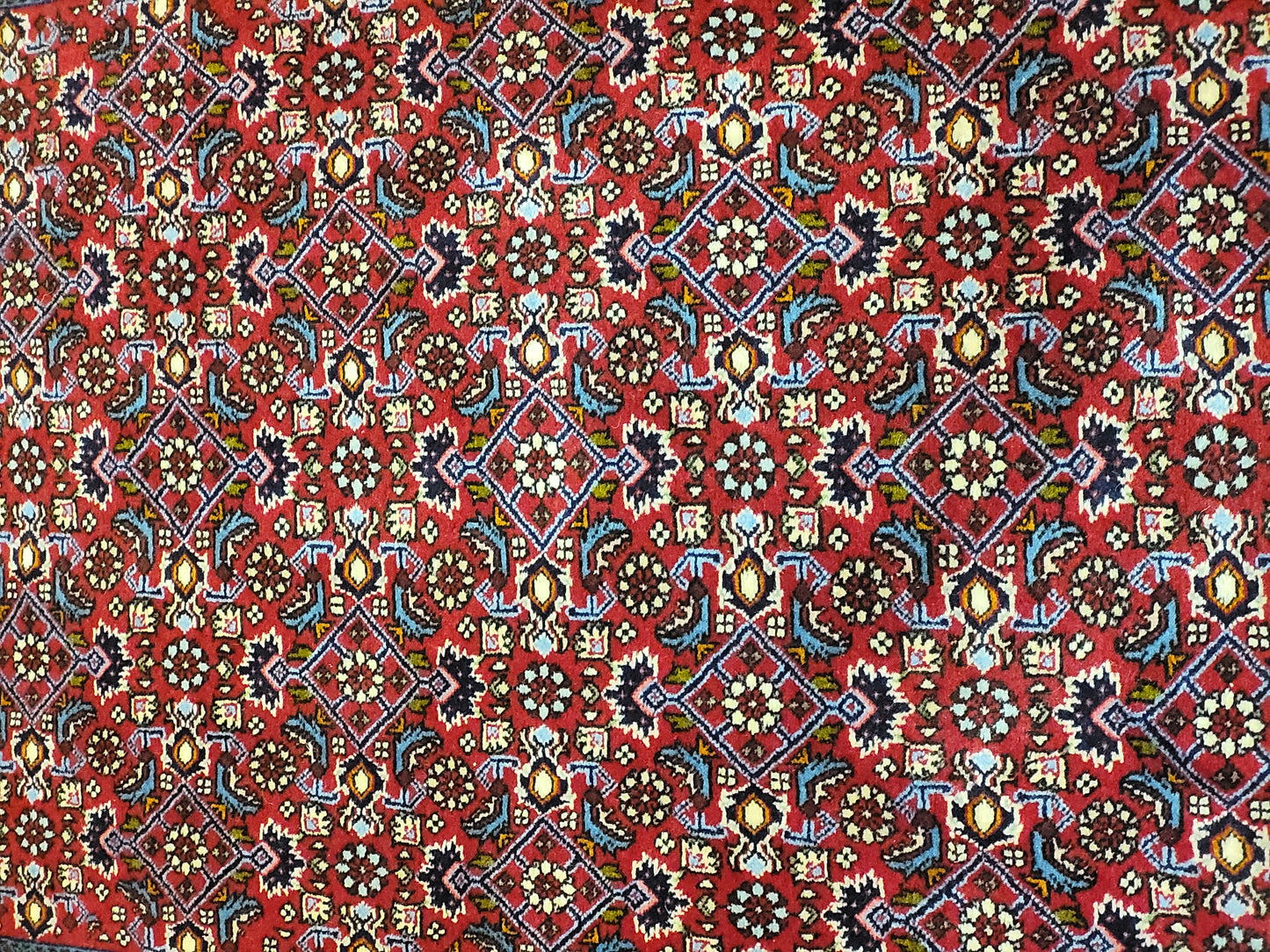 Bidjar Perserteppich Korkwolle, florales Allover-Muster