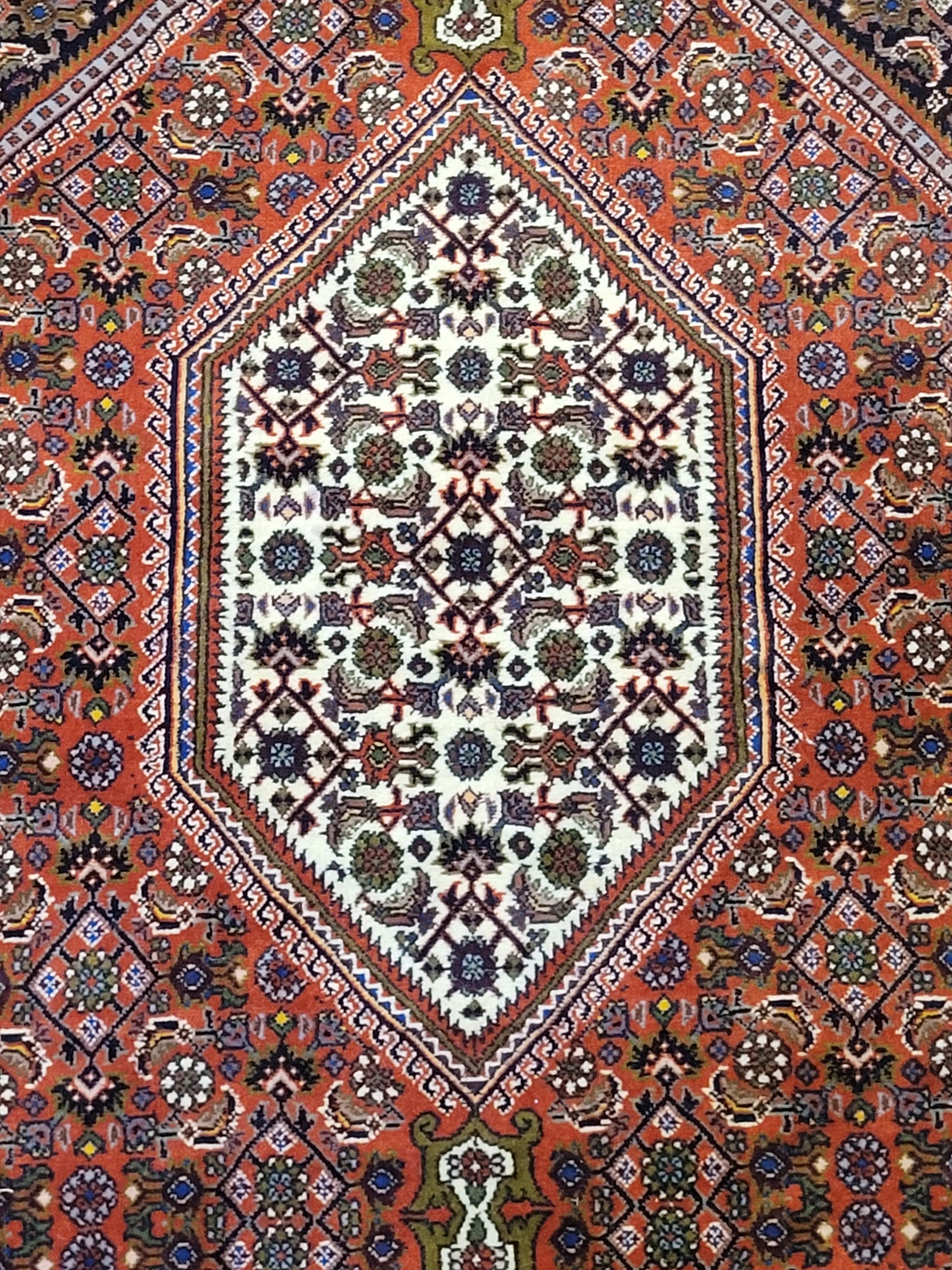 Exklusiver handgeknüpfter Bidjar-Perser Teppich aus Korkwolle