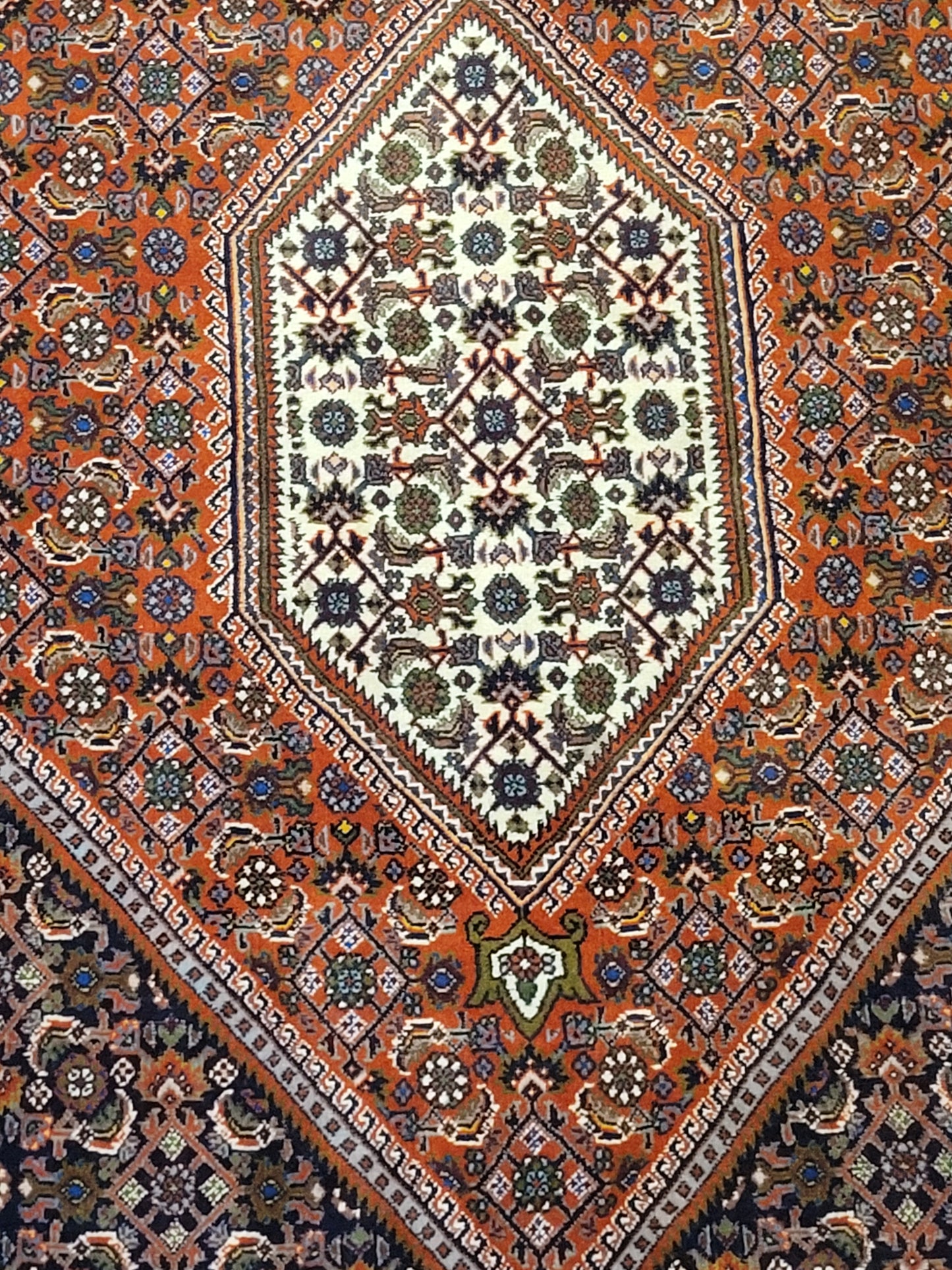 Exklusiver handgeknüpfter Bidjar-Perser Teppich aus Korkwolle