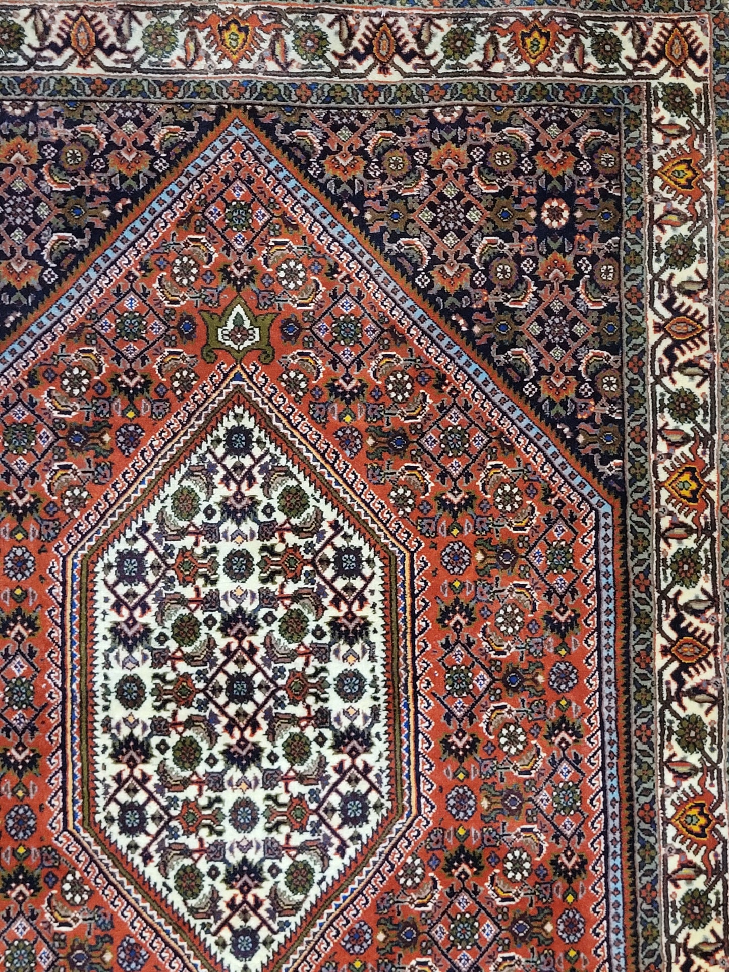 Exklusiver handgeknüpfter Bidjar-Perser Teppich aus Korkwolle