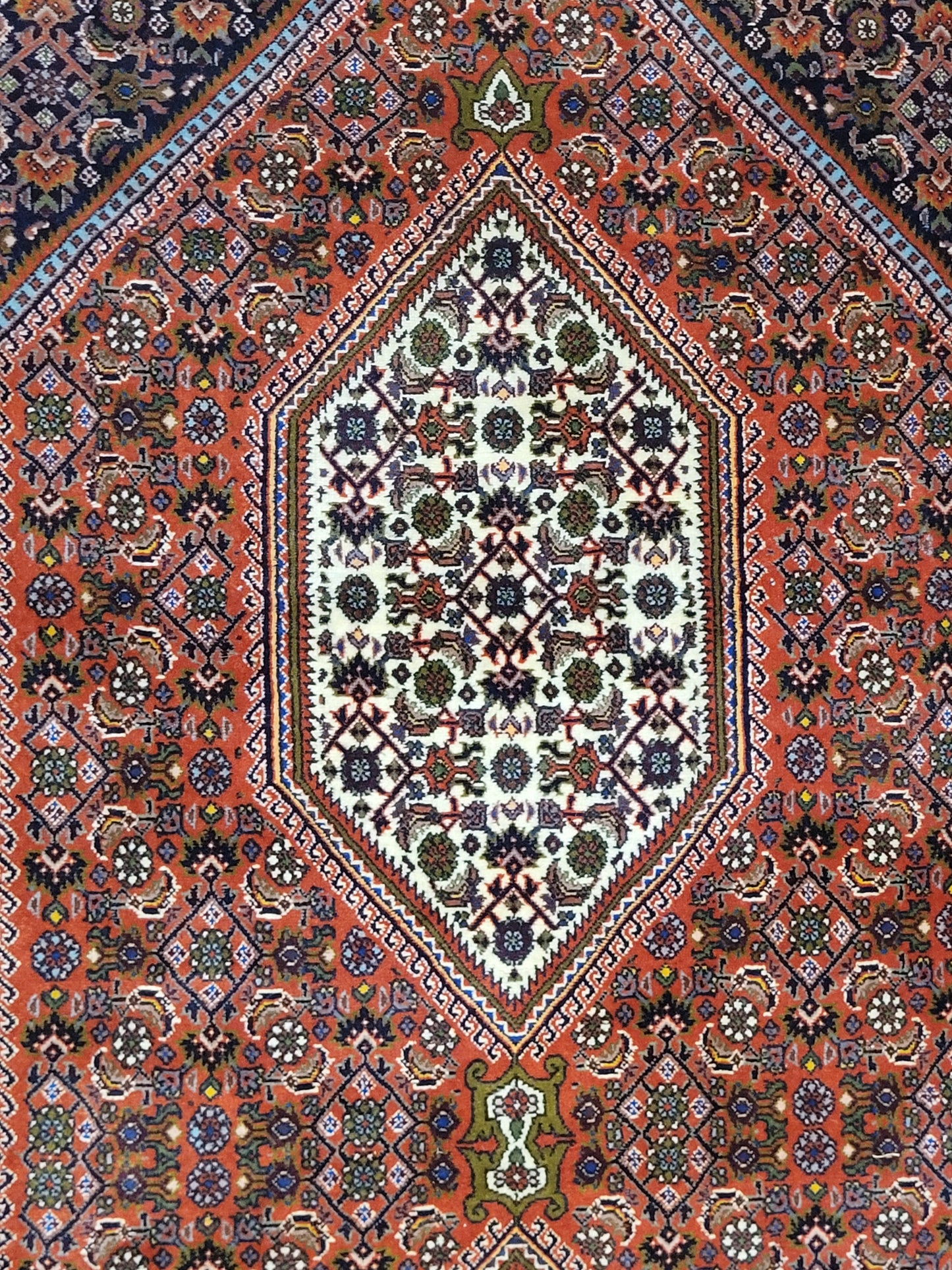 Exklusiver handgeknüpfter Bidjar-Perser Teppich aus Korkwolle