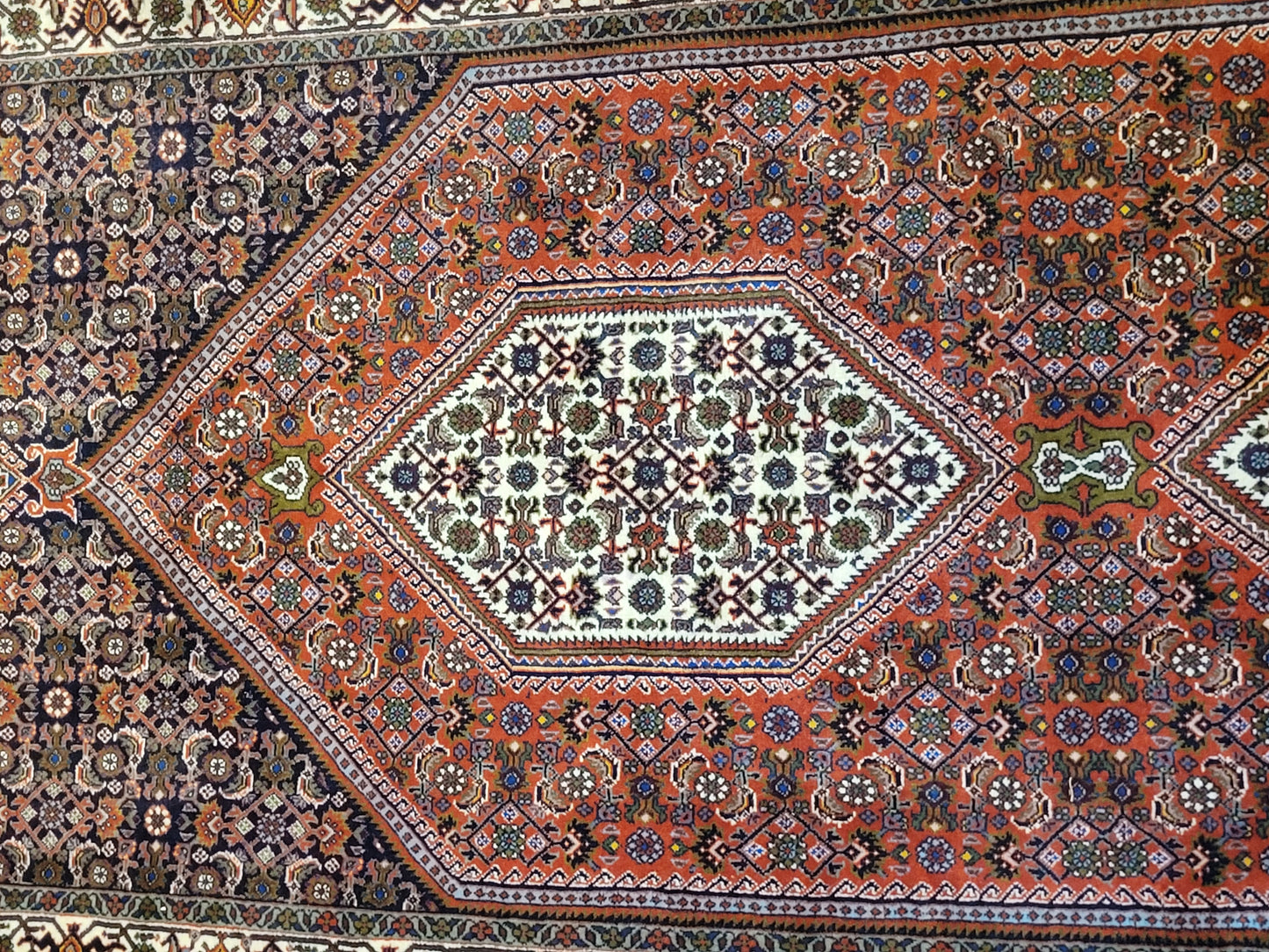 Exklusiver handgeknüpfter Bidjar-Perser Teppich aus Korkwolle