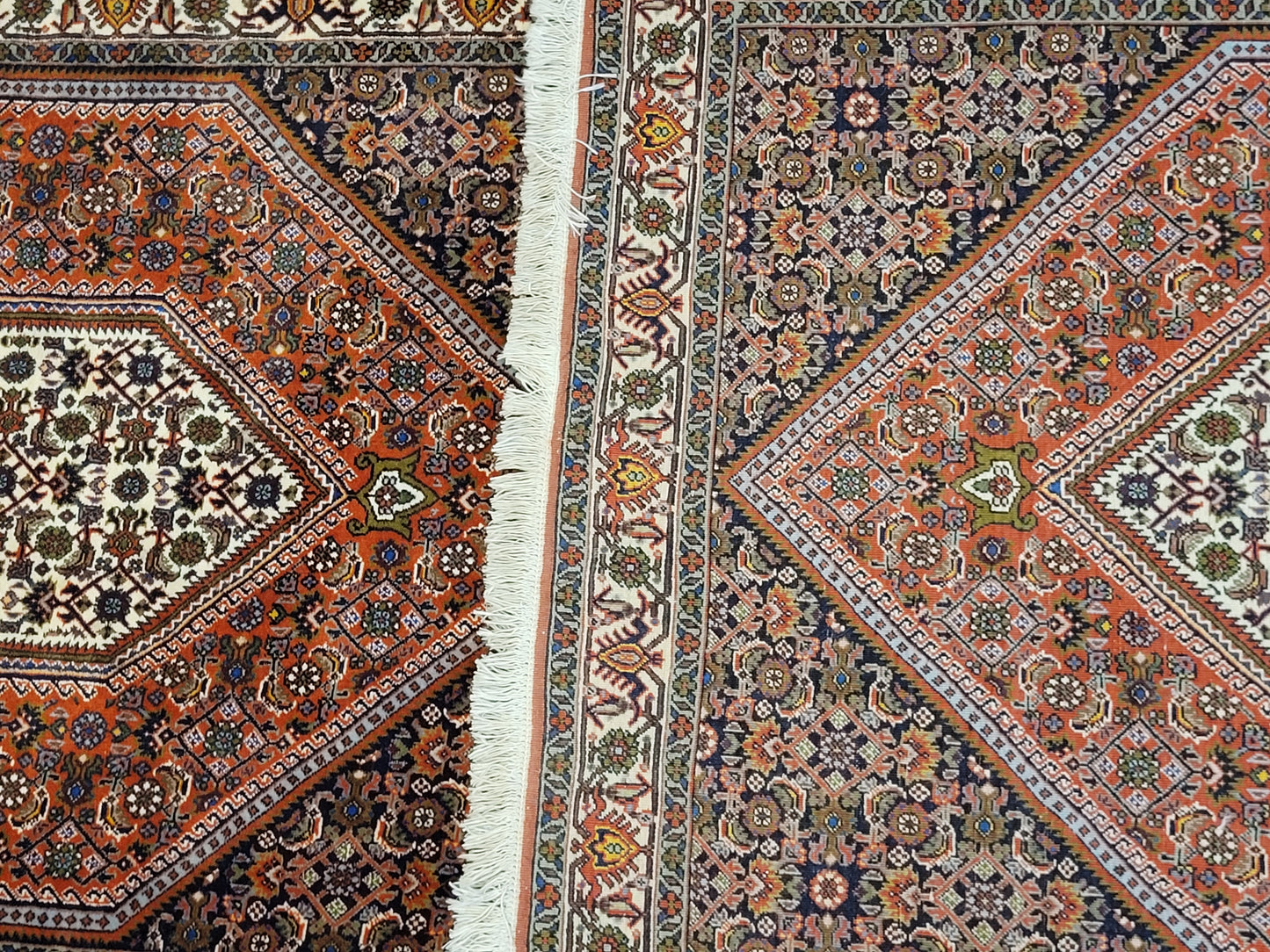 Exklusiver handgeknüpfter Bidjar-Perser Teppich aus Korkwolle