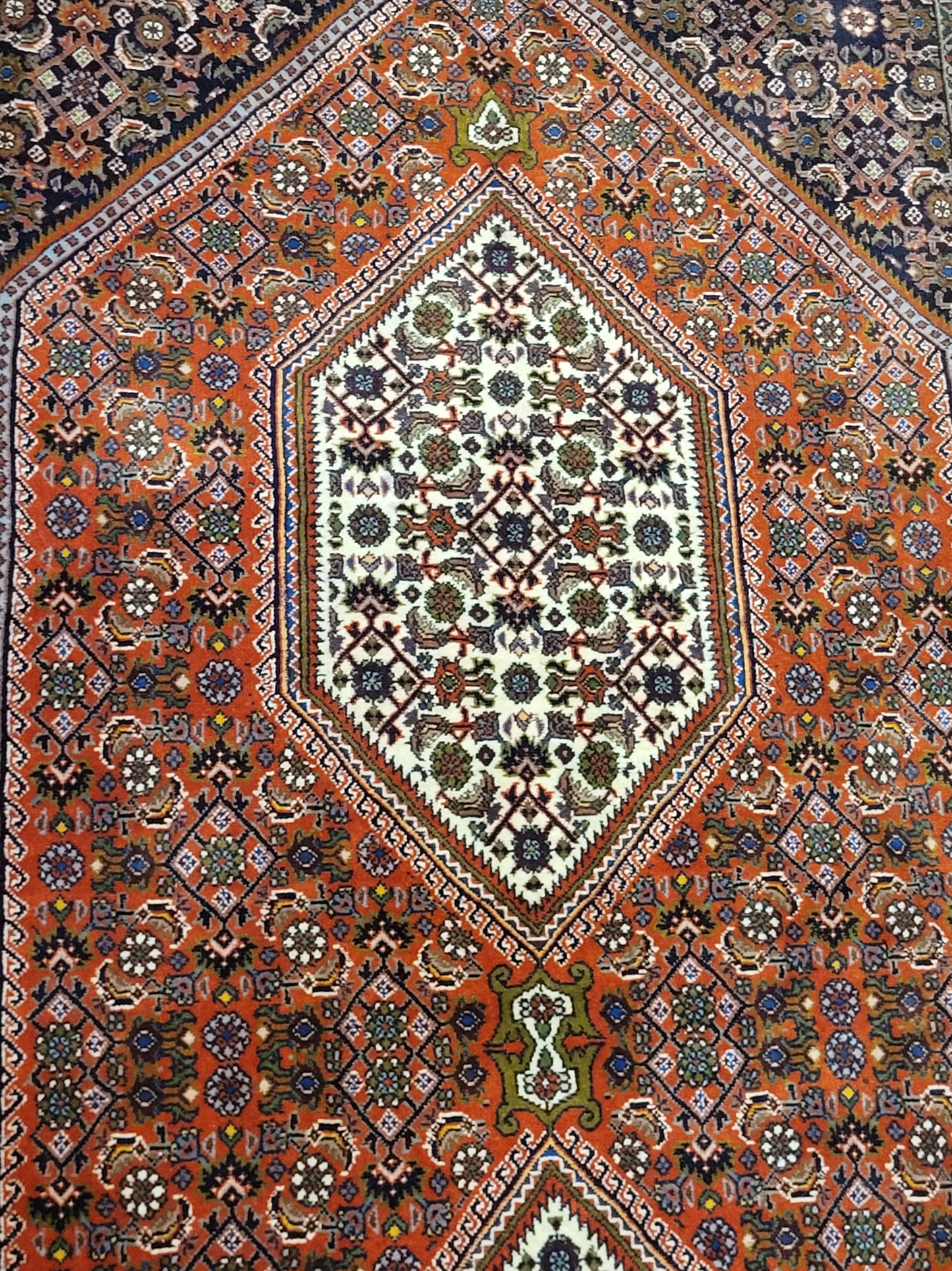 Exklusiver handgeknüpfter Bidjar-Perser Teppich aus Korkwolle