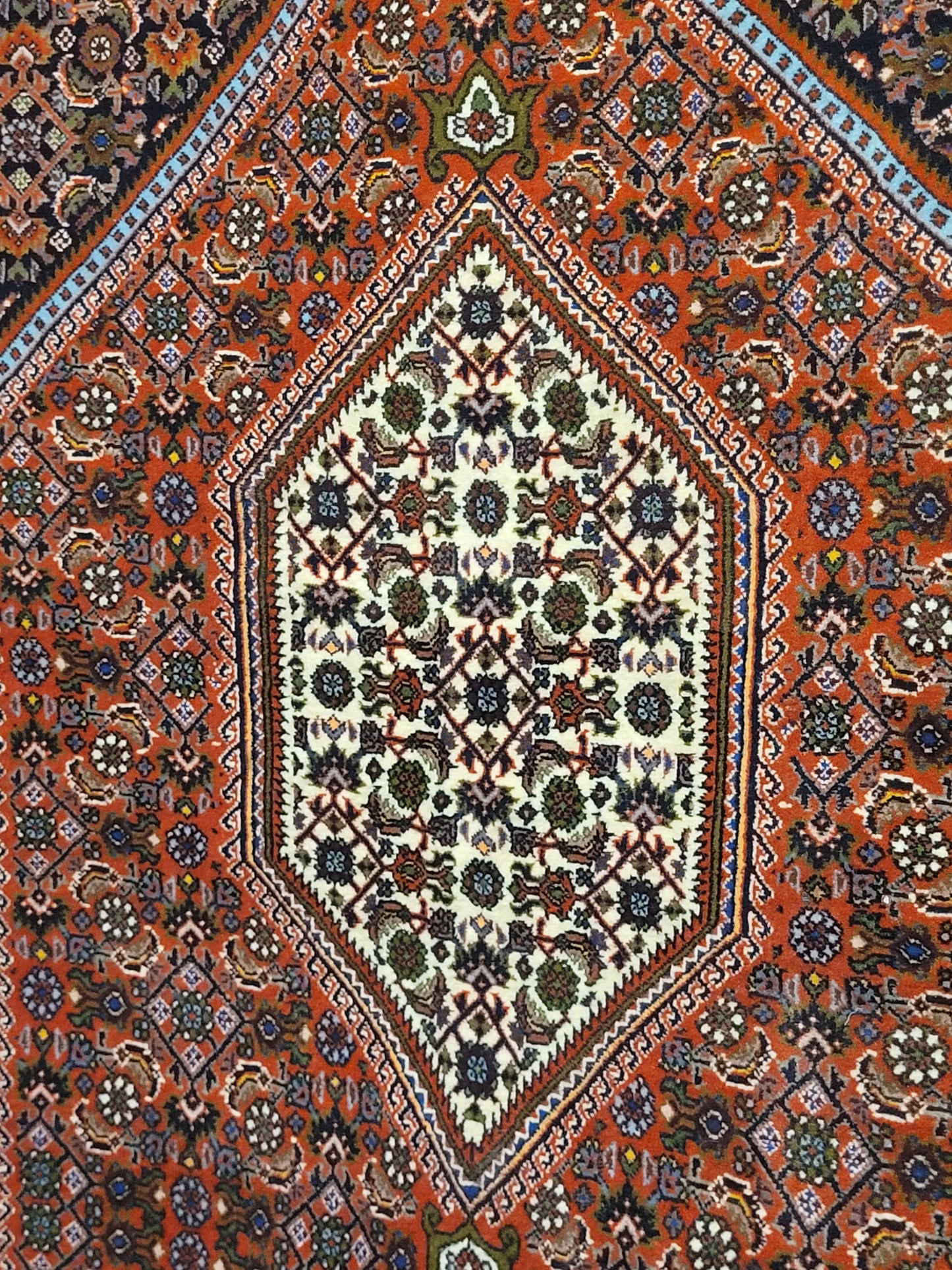 Exklusiver handgeknüpfter Bidjar-Perser Teppich aus Korkwolle