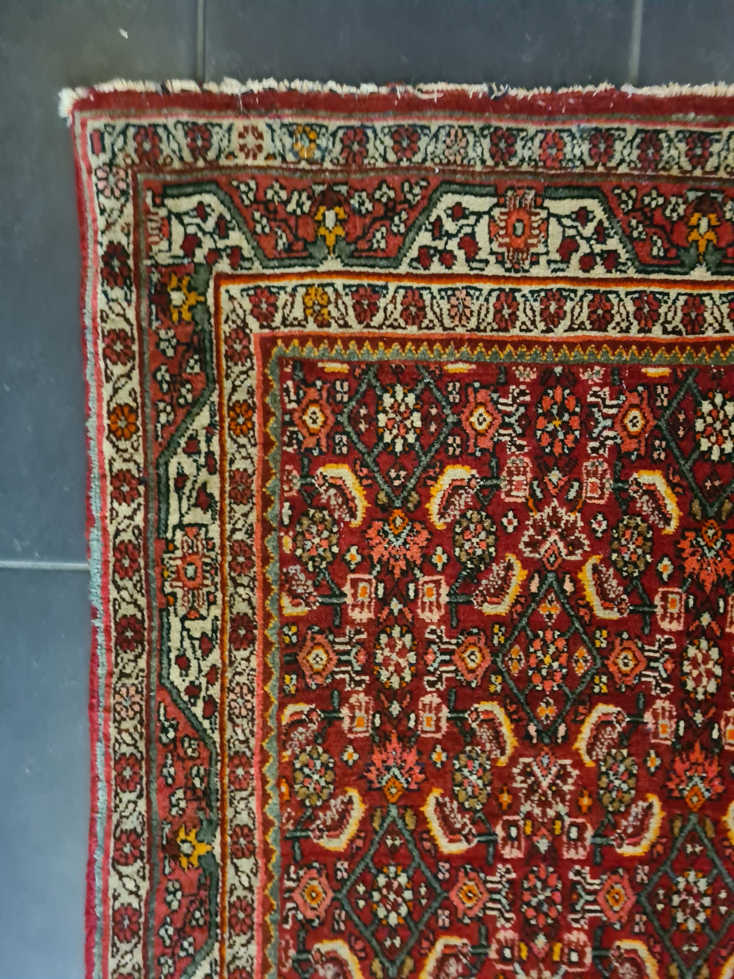 Perserteppich Orientteppich Handgeknüpfter Teppich Bidjar 165x115cm