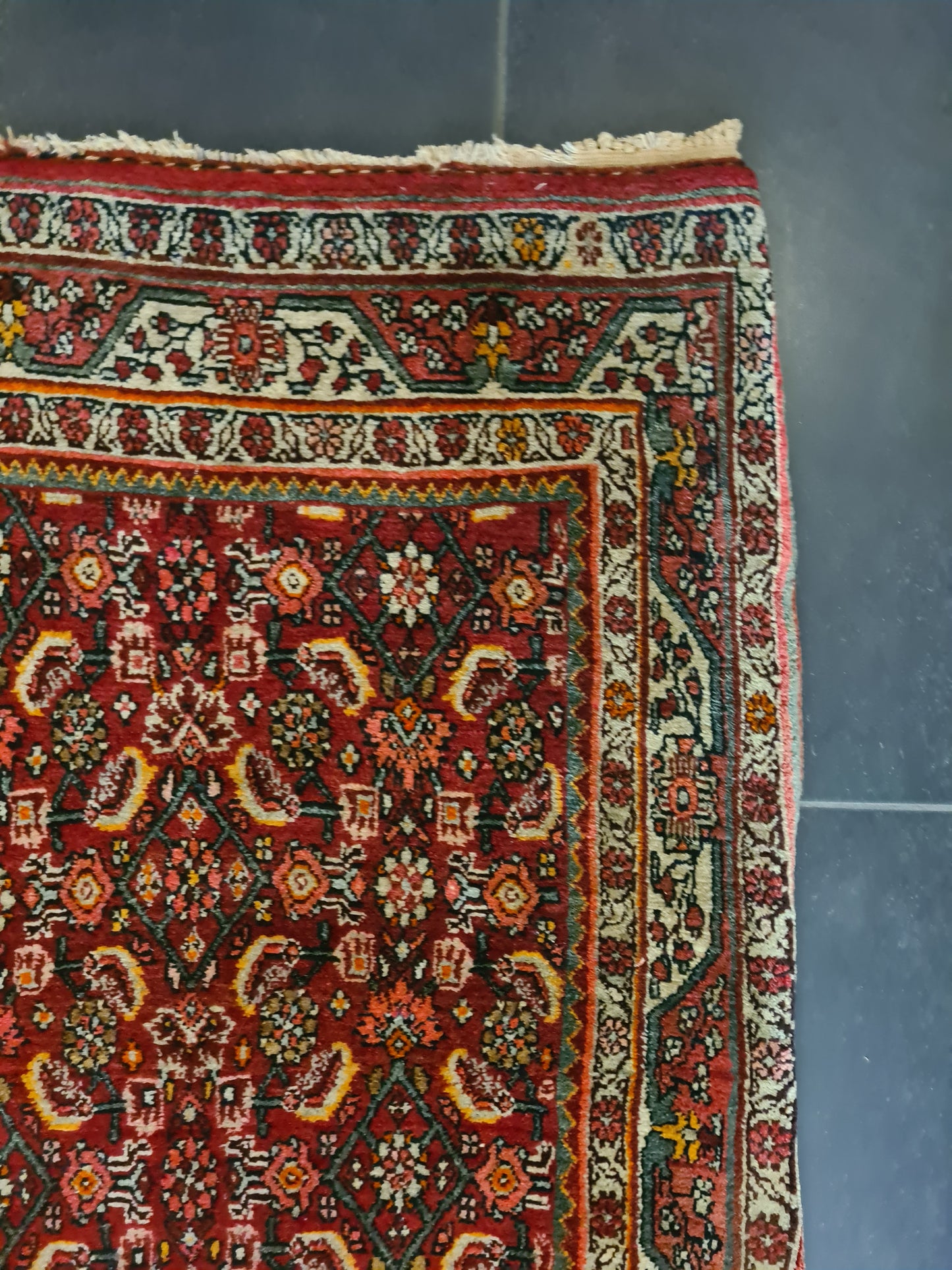 Perserteppich Orientteppich Handgeknüpfter Teppich Bidjar 165x115cm