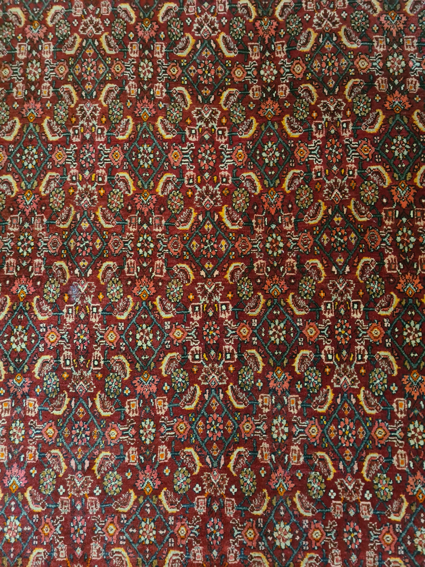 Perserteppich Orientteppich Handgeknüpfter Teppich Bidjar 165x115cm