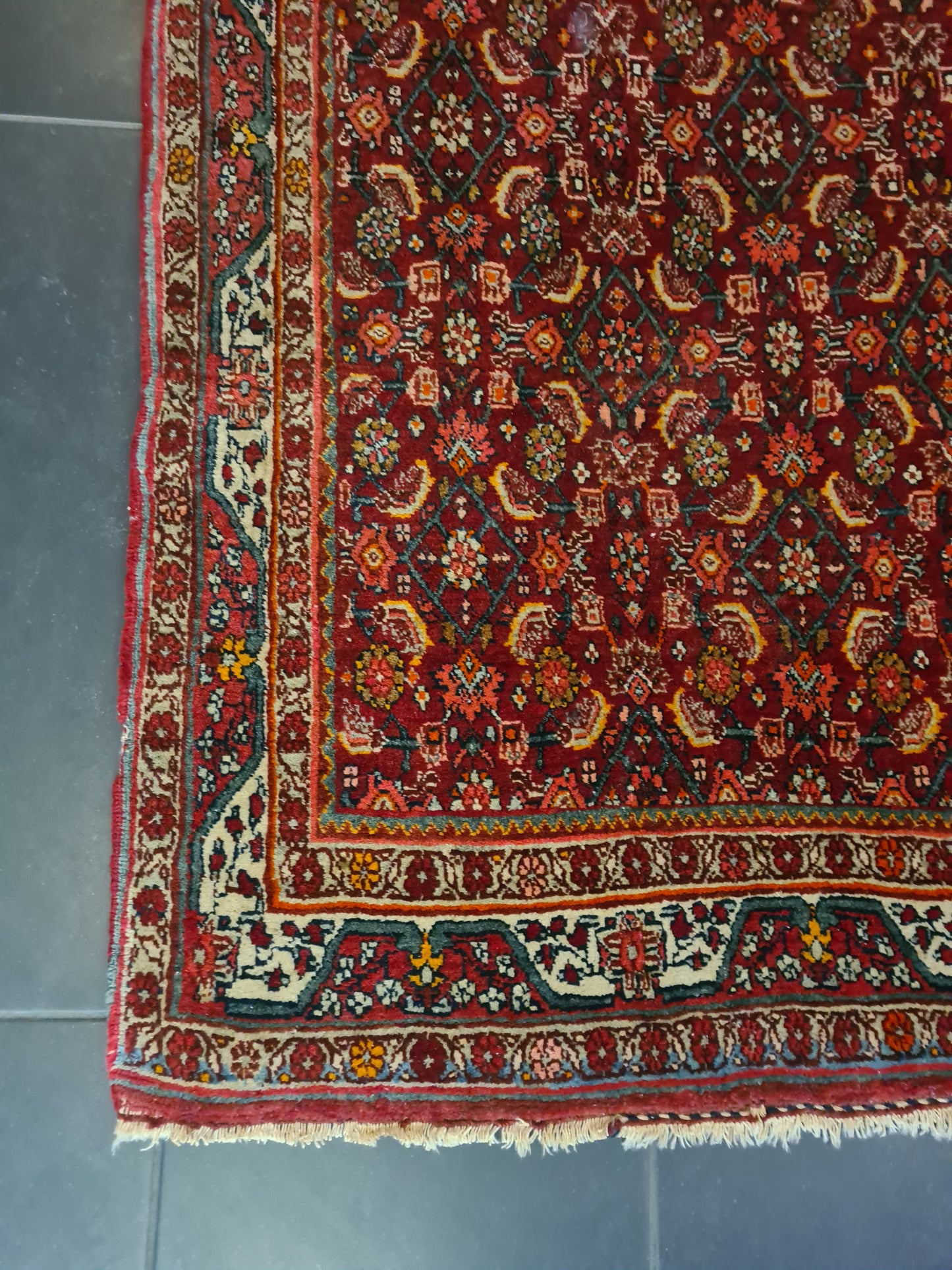 Perserteppich Orientteppich Handgeknüpfter Teppich Bidjar 165x115cm