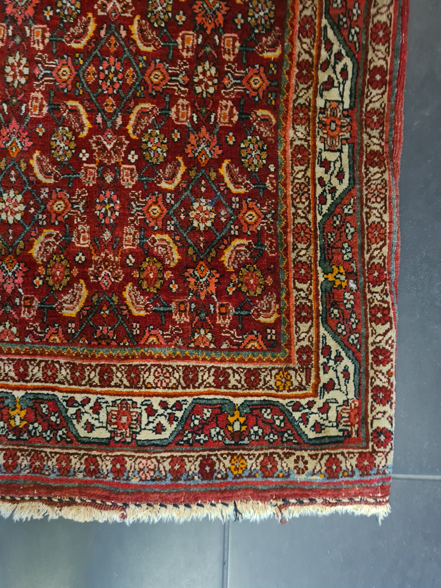 Perserteppich Orientteppich Handgeknüpfter Teppich Bidjar 165x115cm